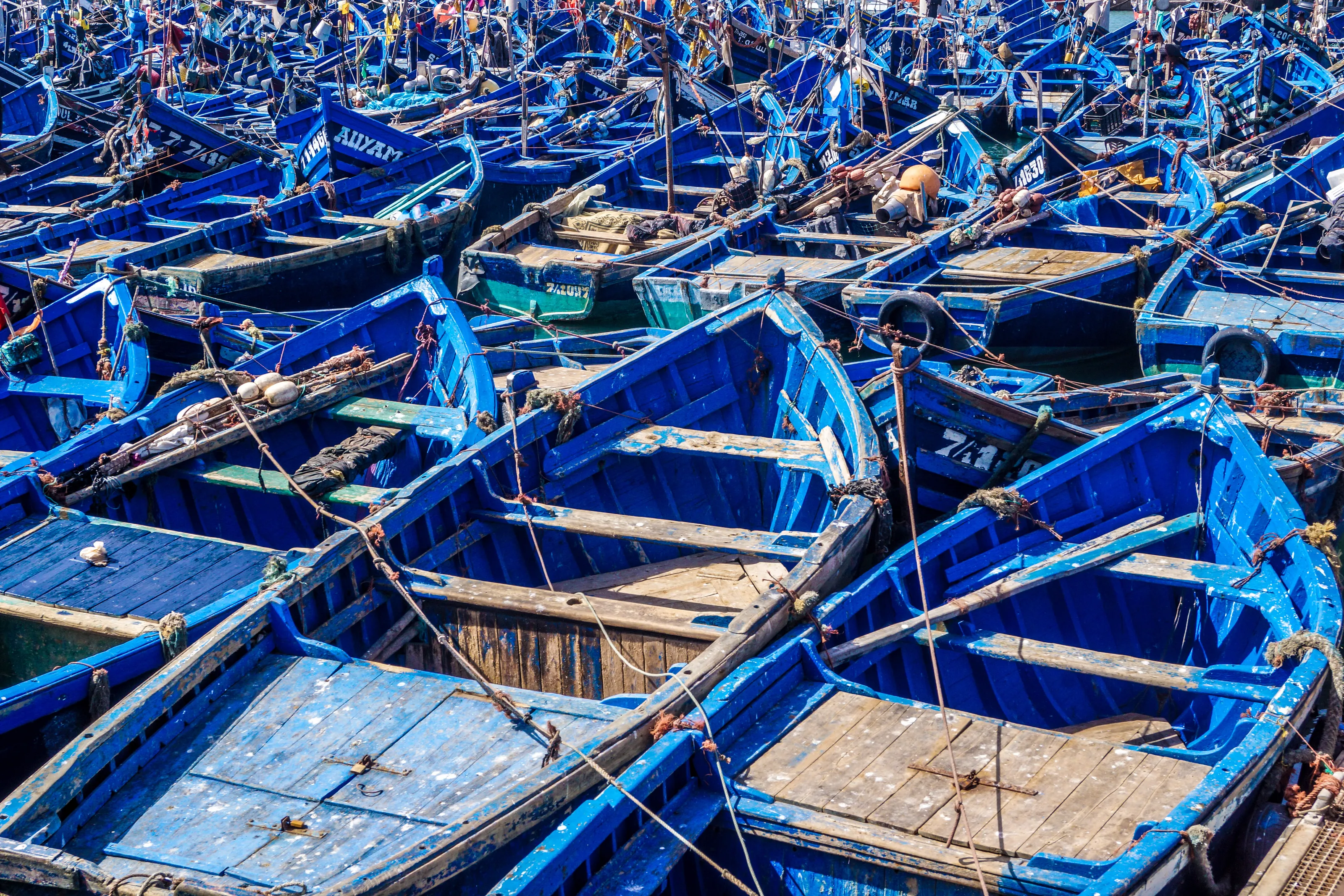 blue boats