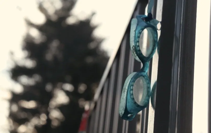 Banner image