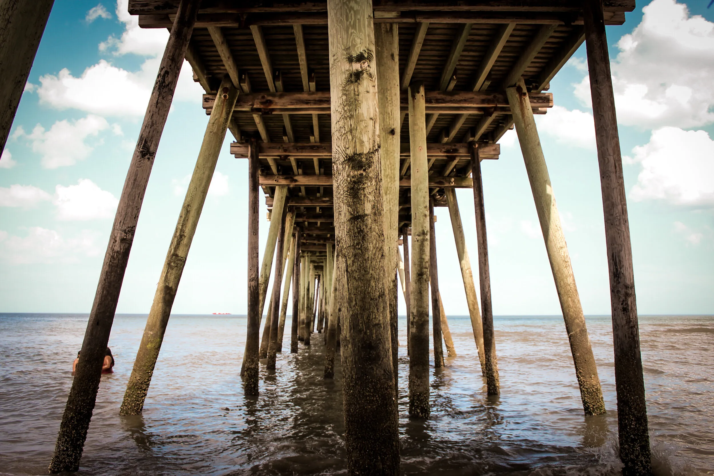 under the virgina beach pier