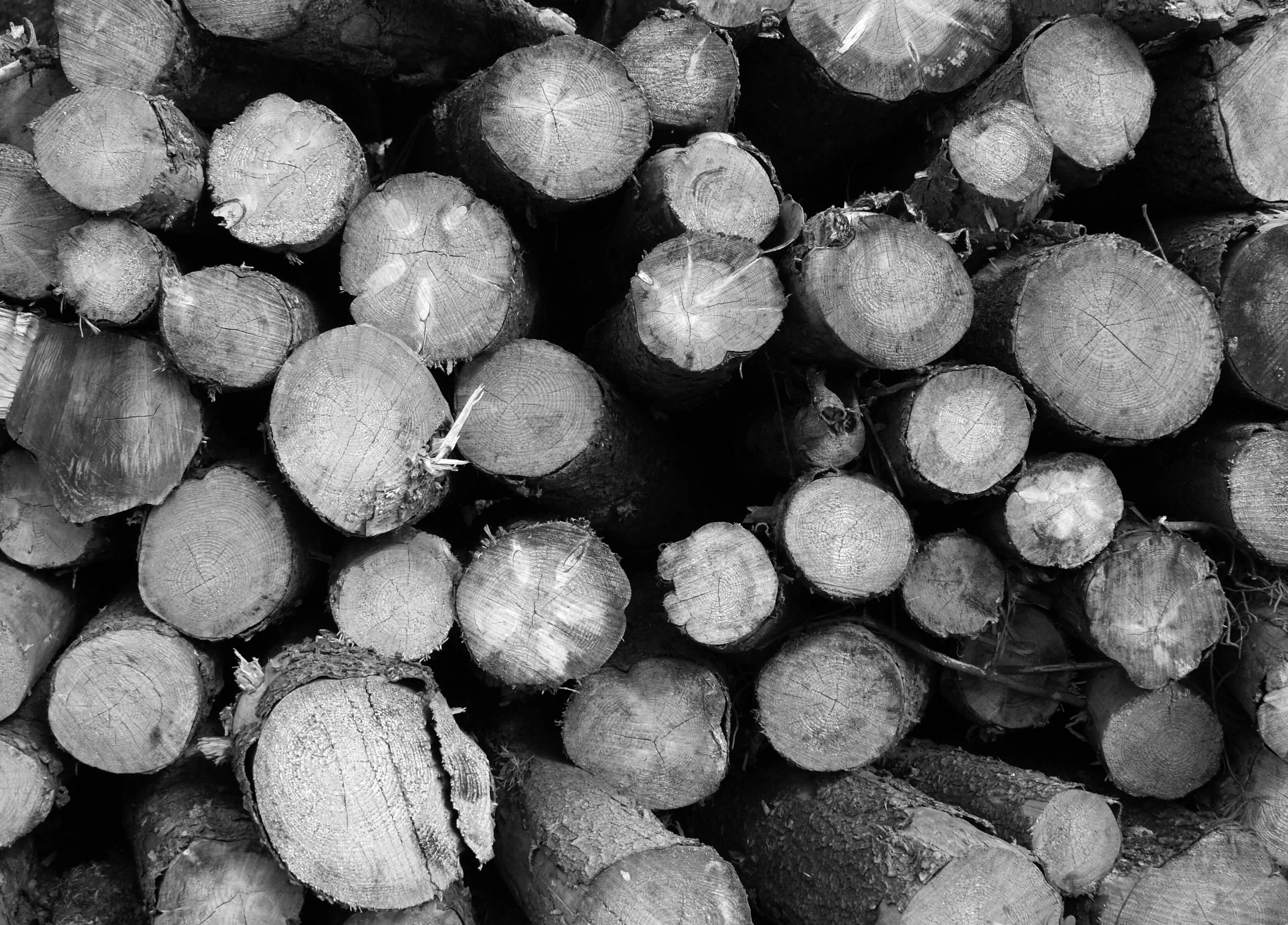 Logs