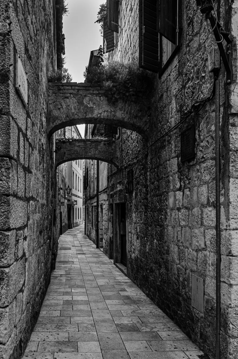 Entry 14244215