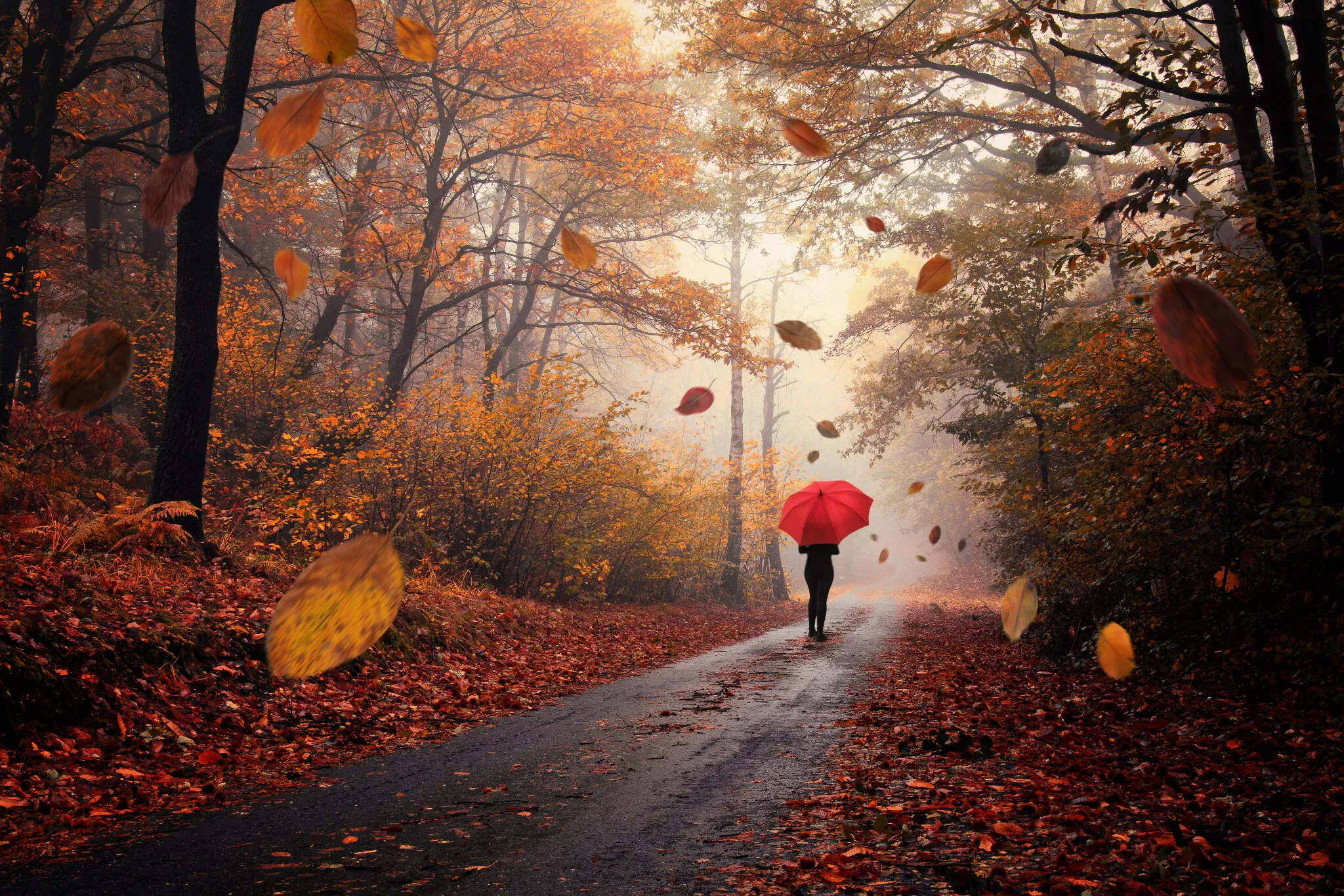Composite landscapes