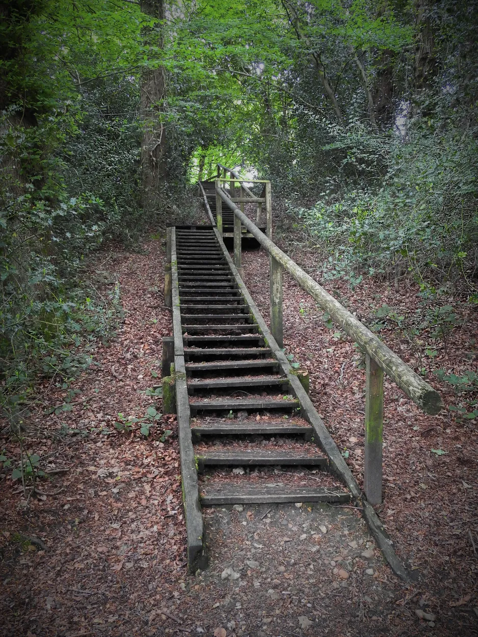 Entry 13079239