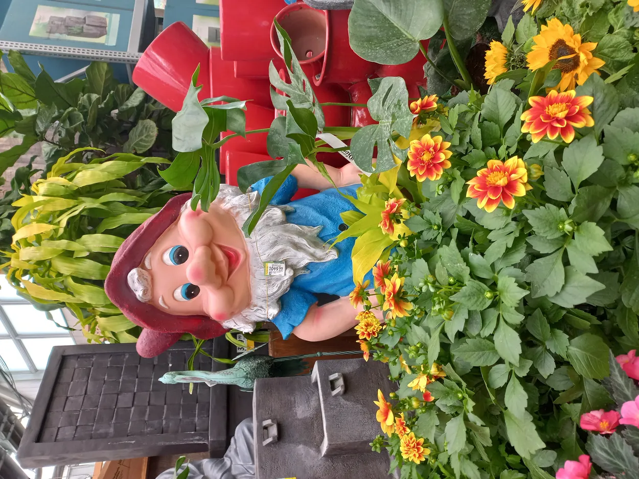 Entry 13080525