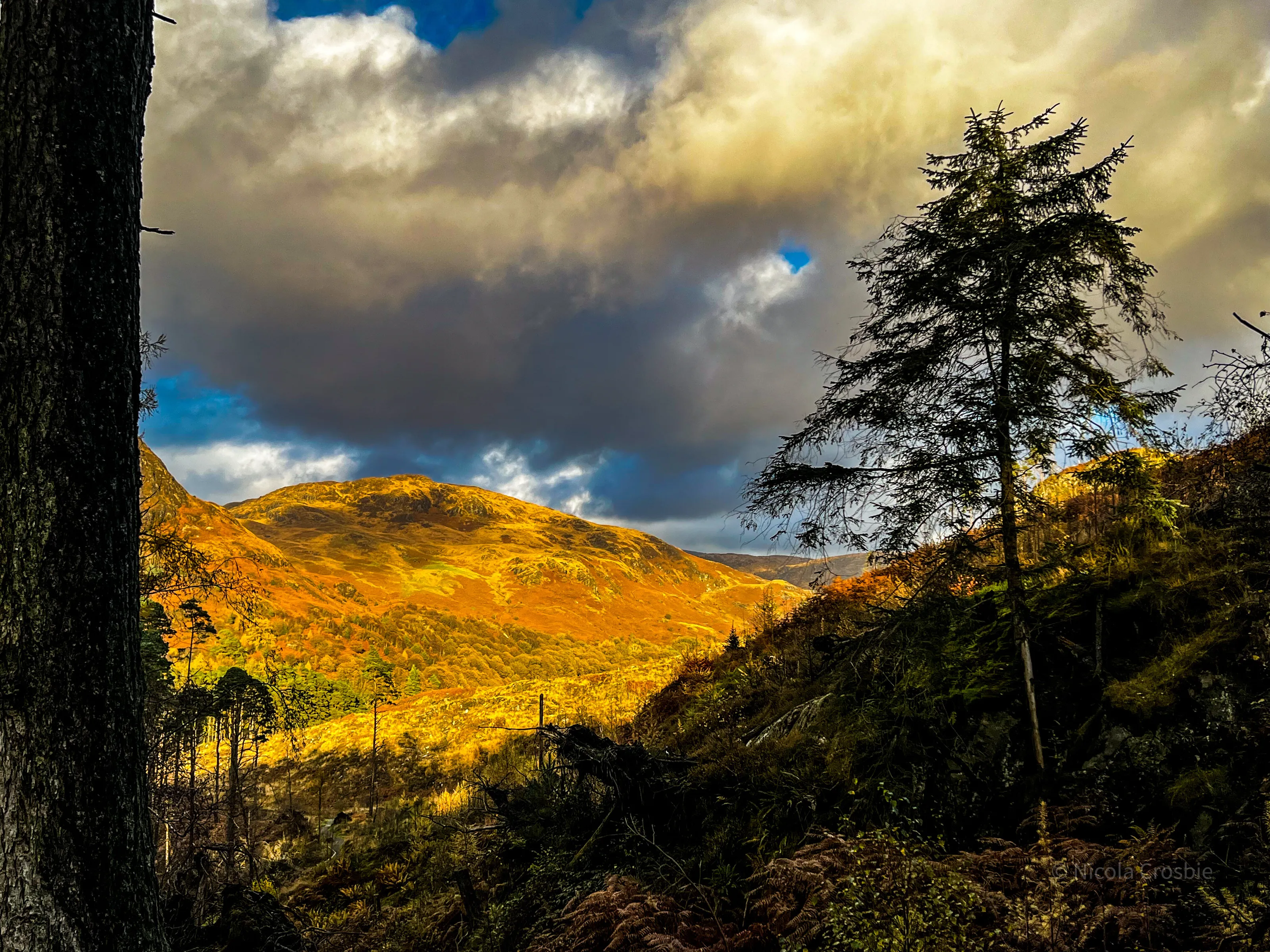 Glimpse of Scottish Sun