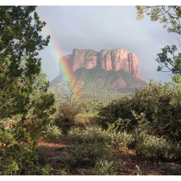 Where the Leprechaun roams