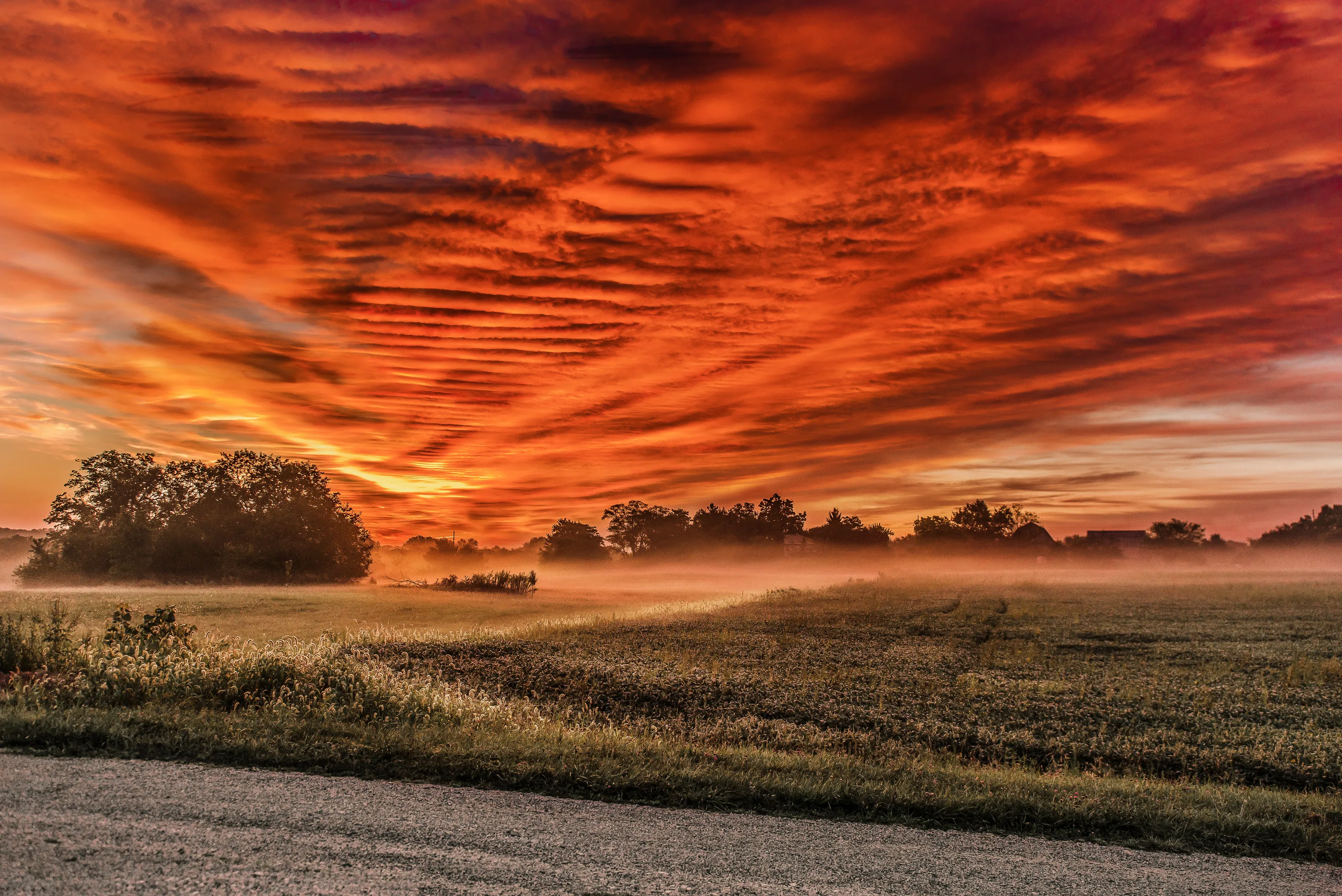Summer Sunrise