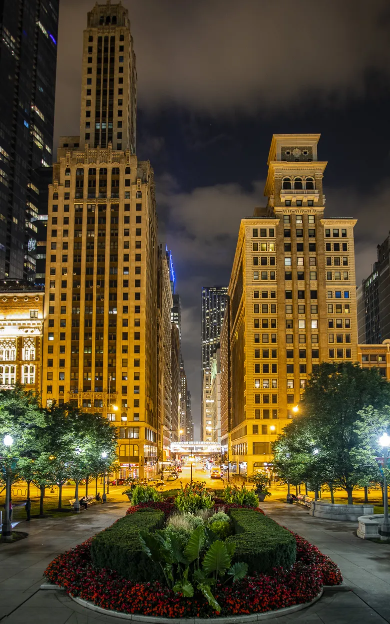 Entry 19988396