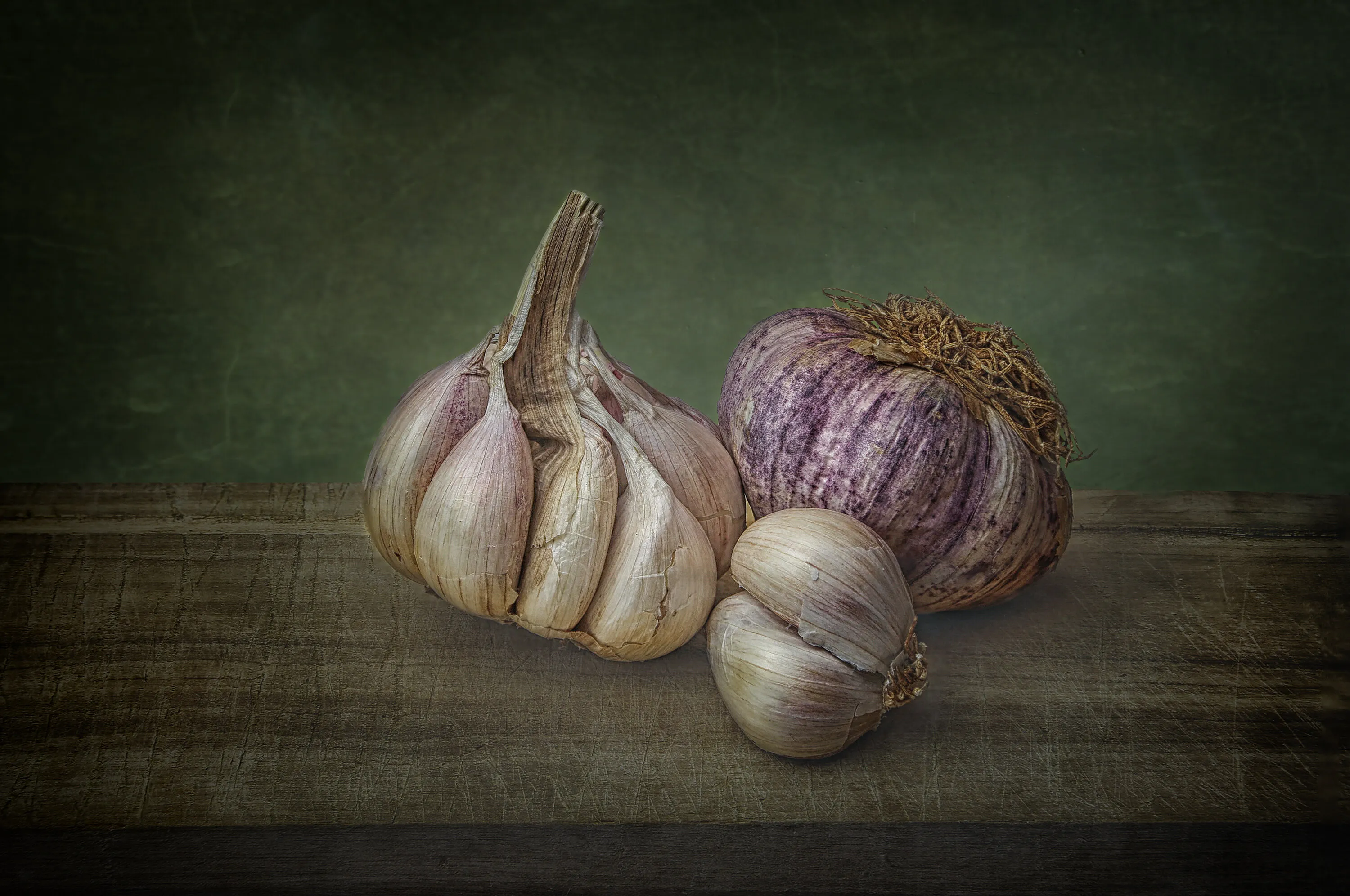 Garlic Study