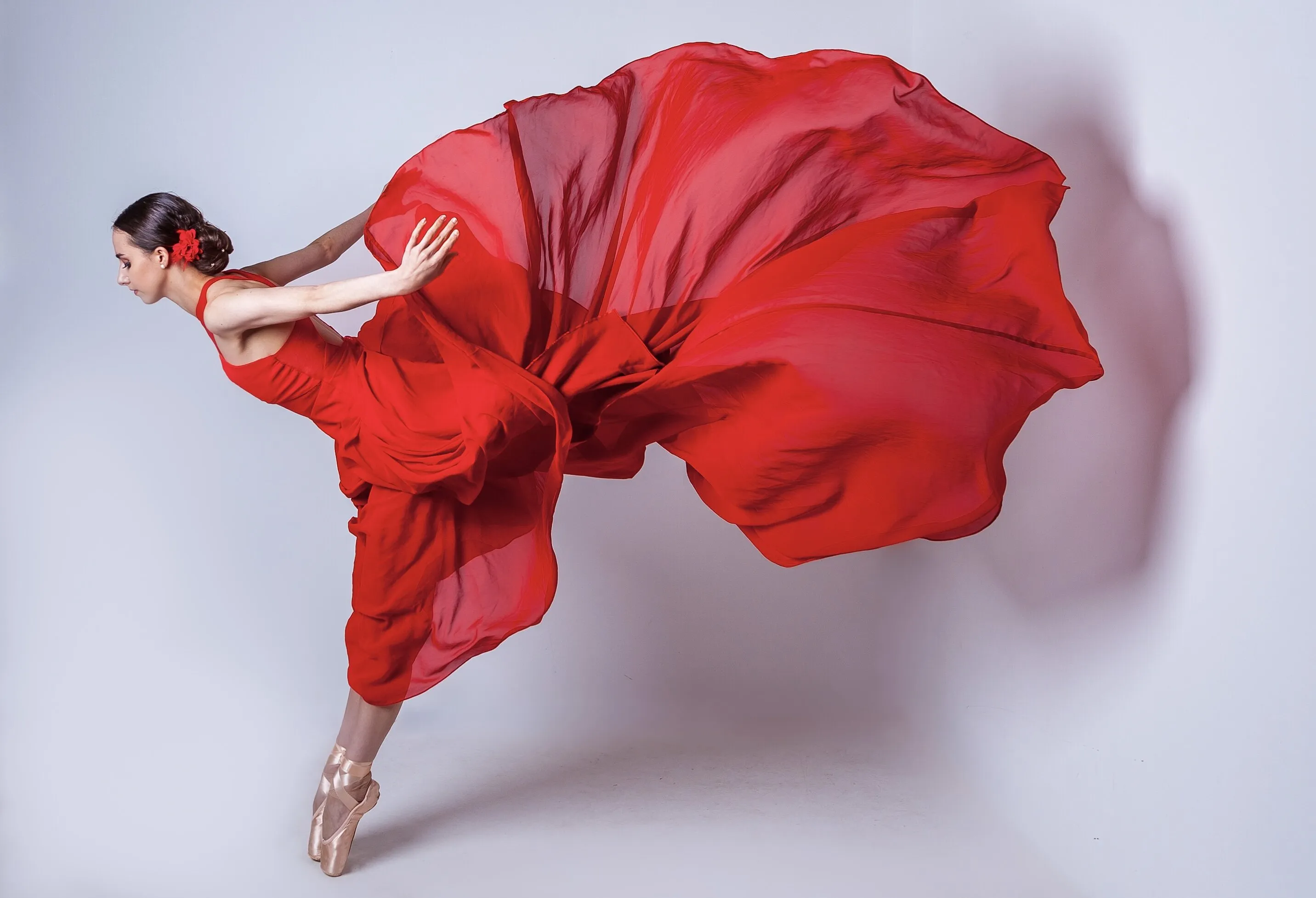 Prima Ballerina