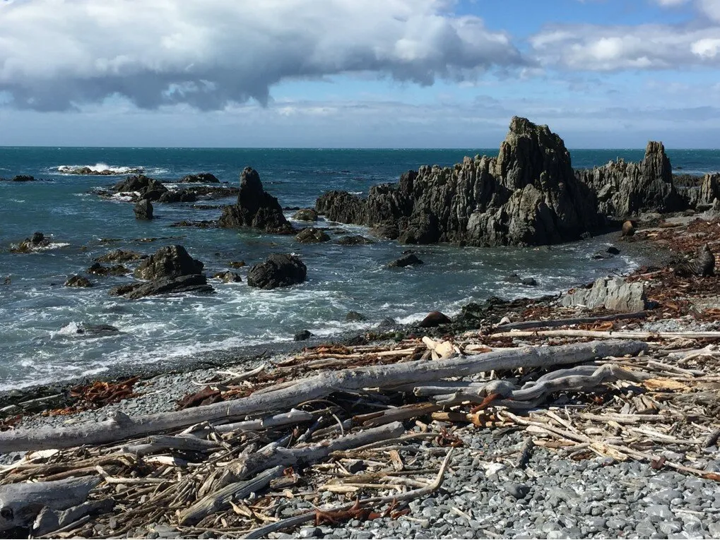 Wellington, New Zealand