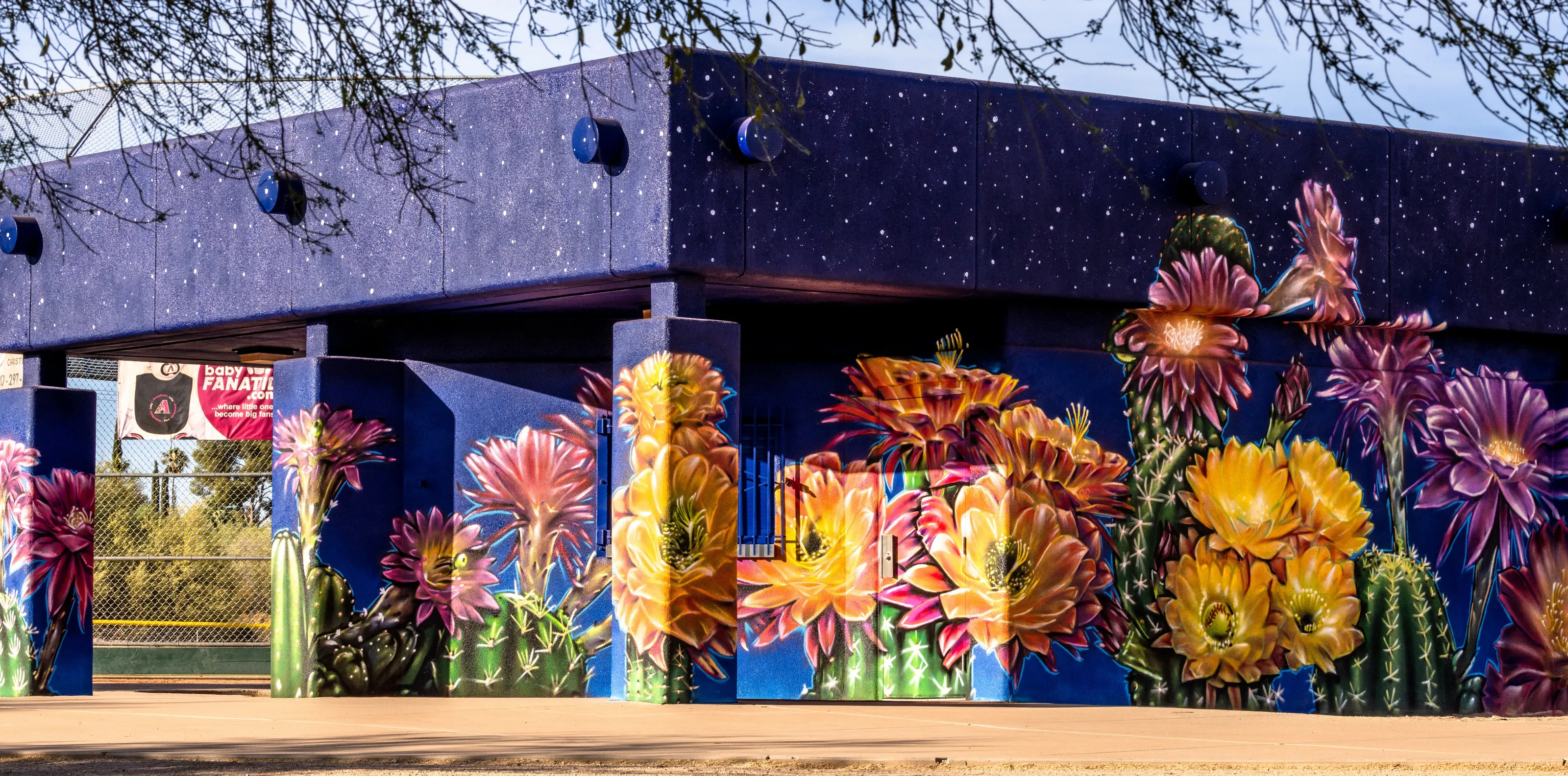 SAACA-sponsored community graffiti in Oro Valley, AZ