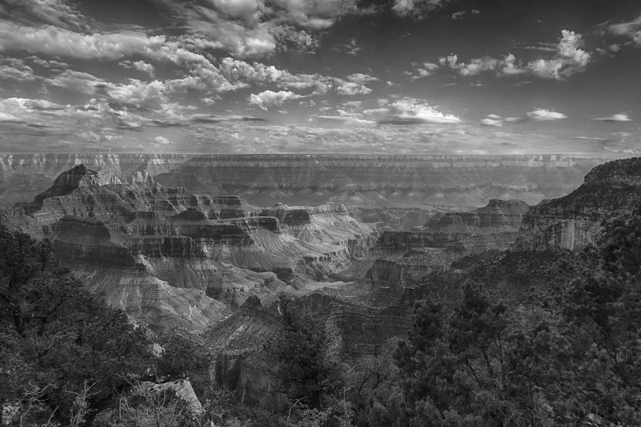 Grand Canyon North Rim BWC