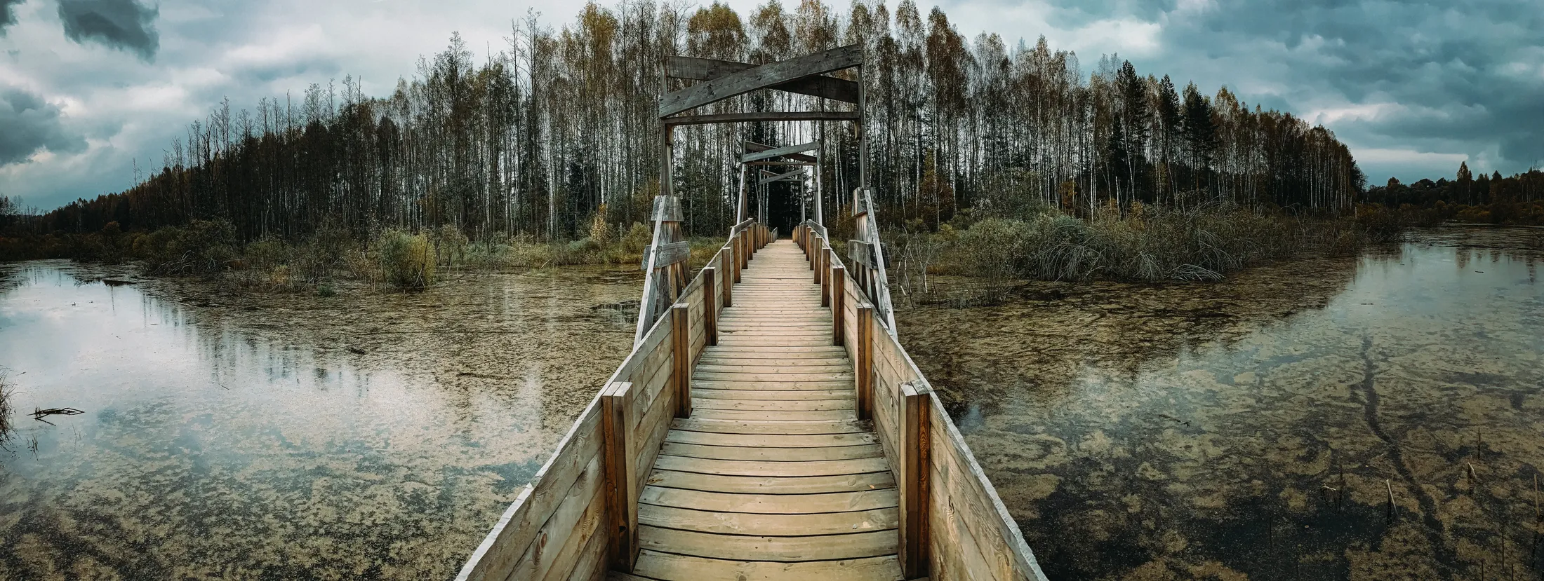 Entry 20671287