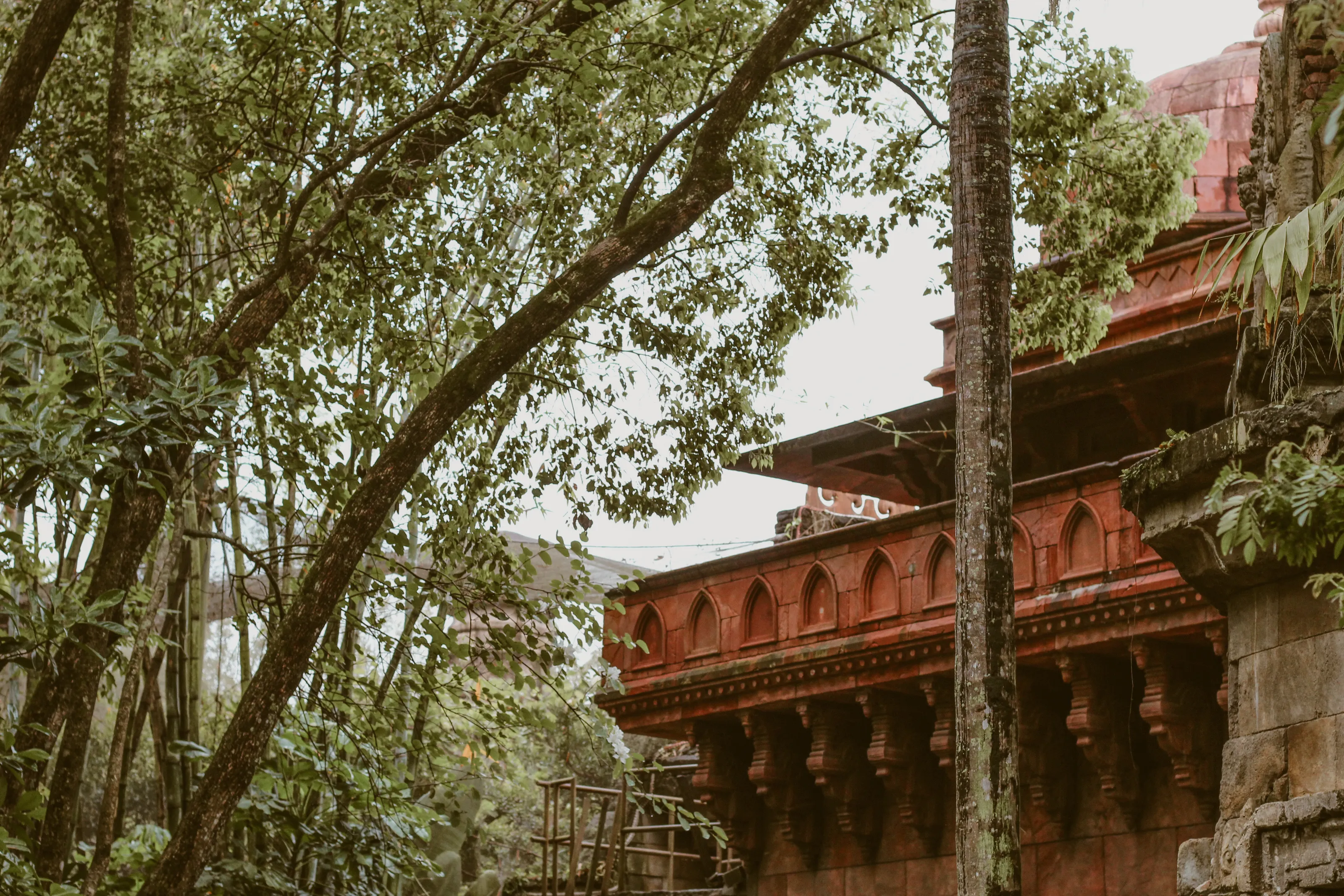 Animal kingdom