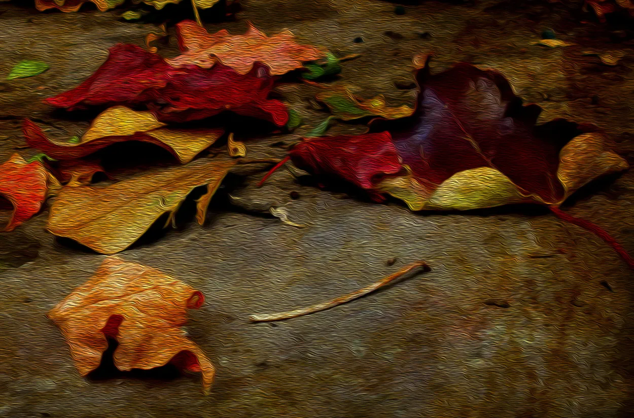 Entry 13104198