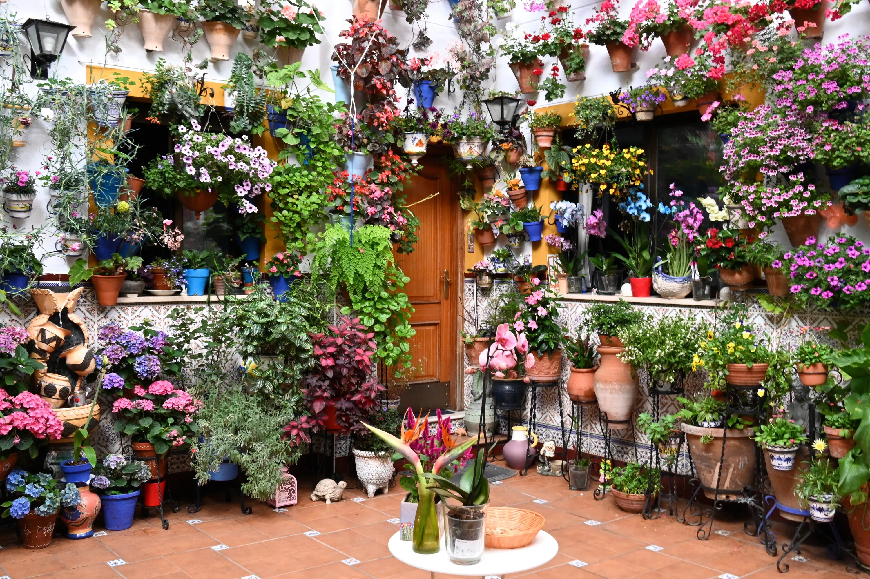 Los Patios, Cordoba, Spain