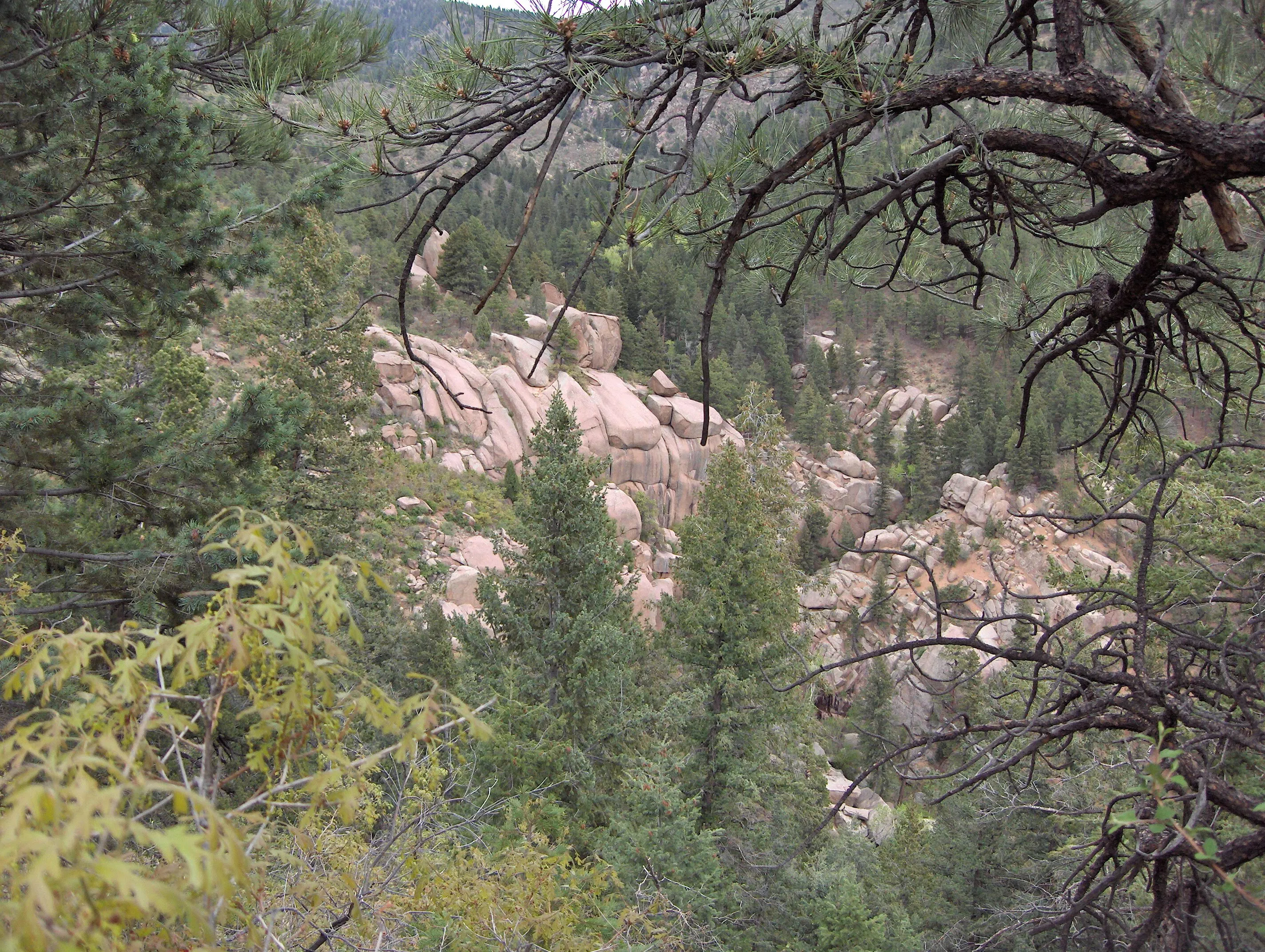 Somewhere in the Rockies, west of Colorado Springs, CO