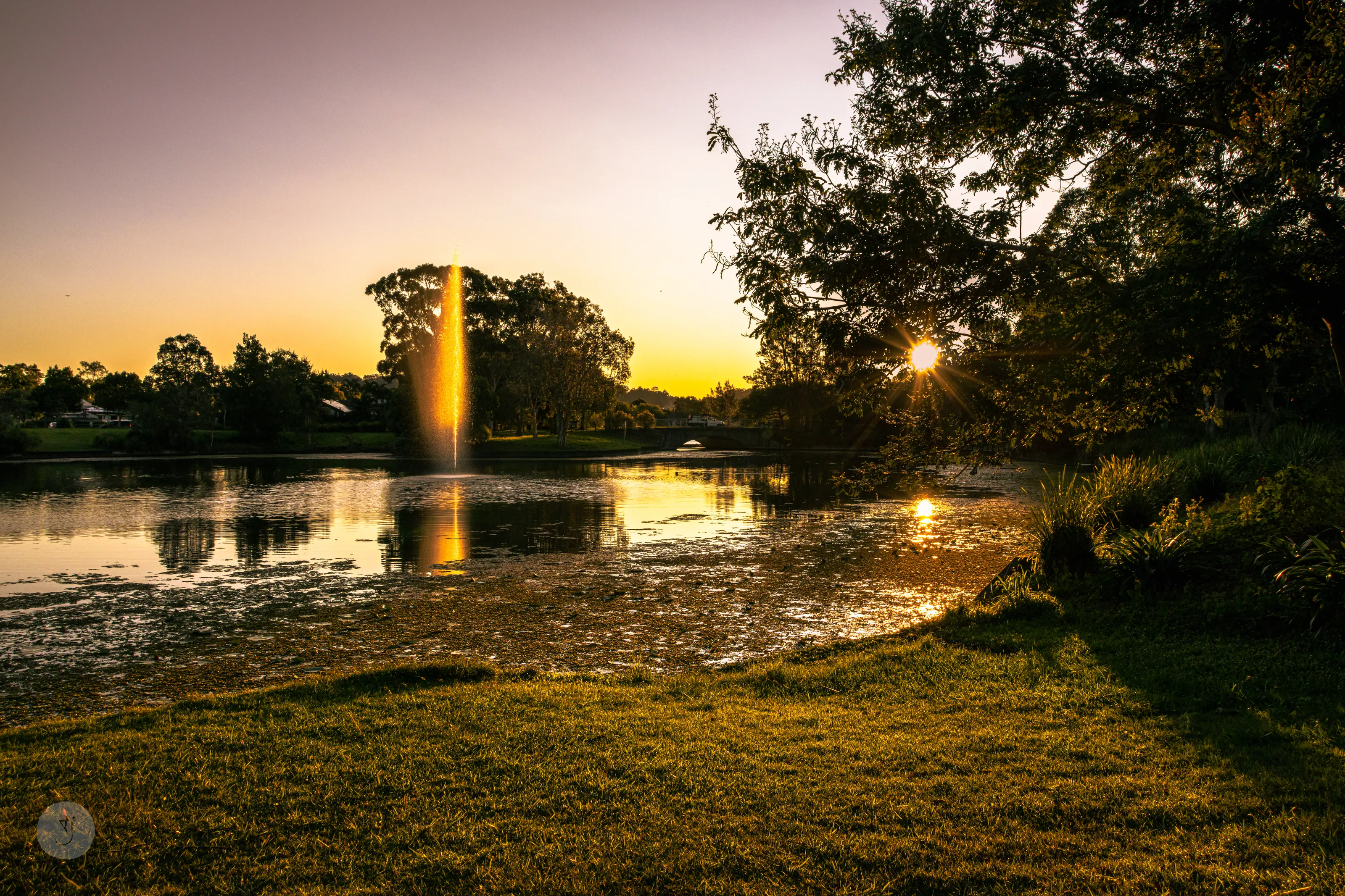 Water Feature