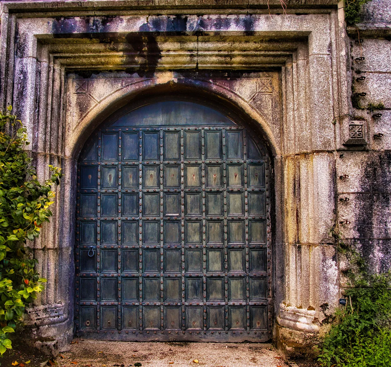 Entry 19181719