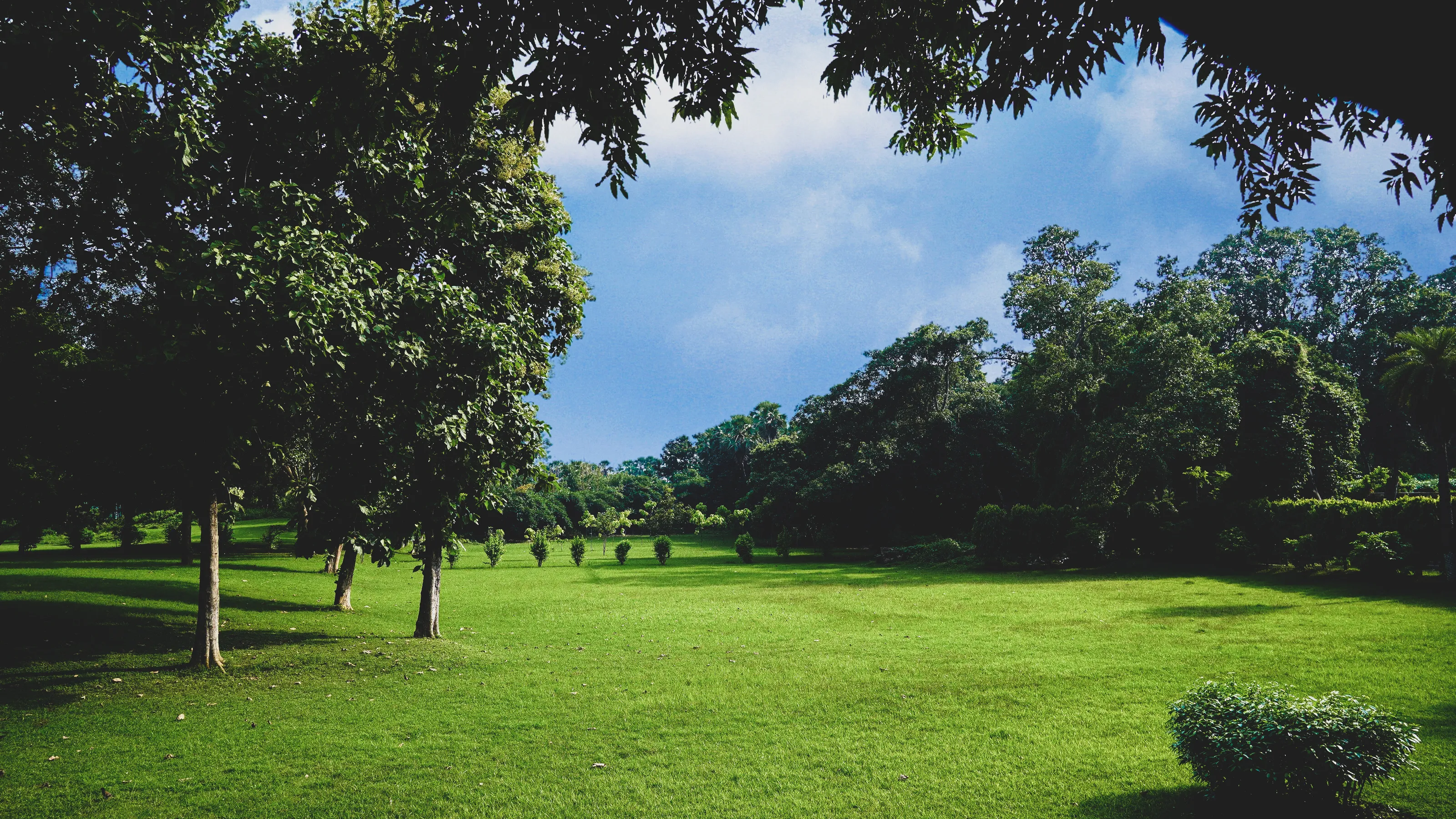 Look deep into nature, and then you will understand everything better.