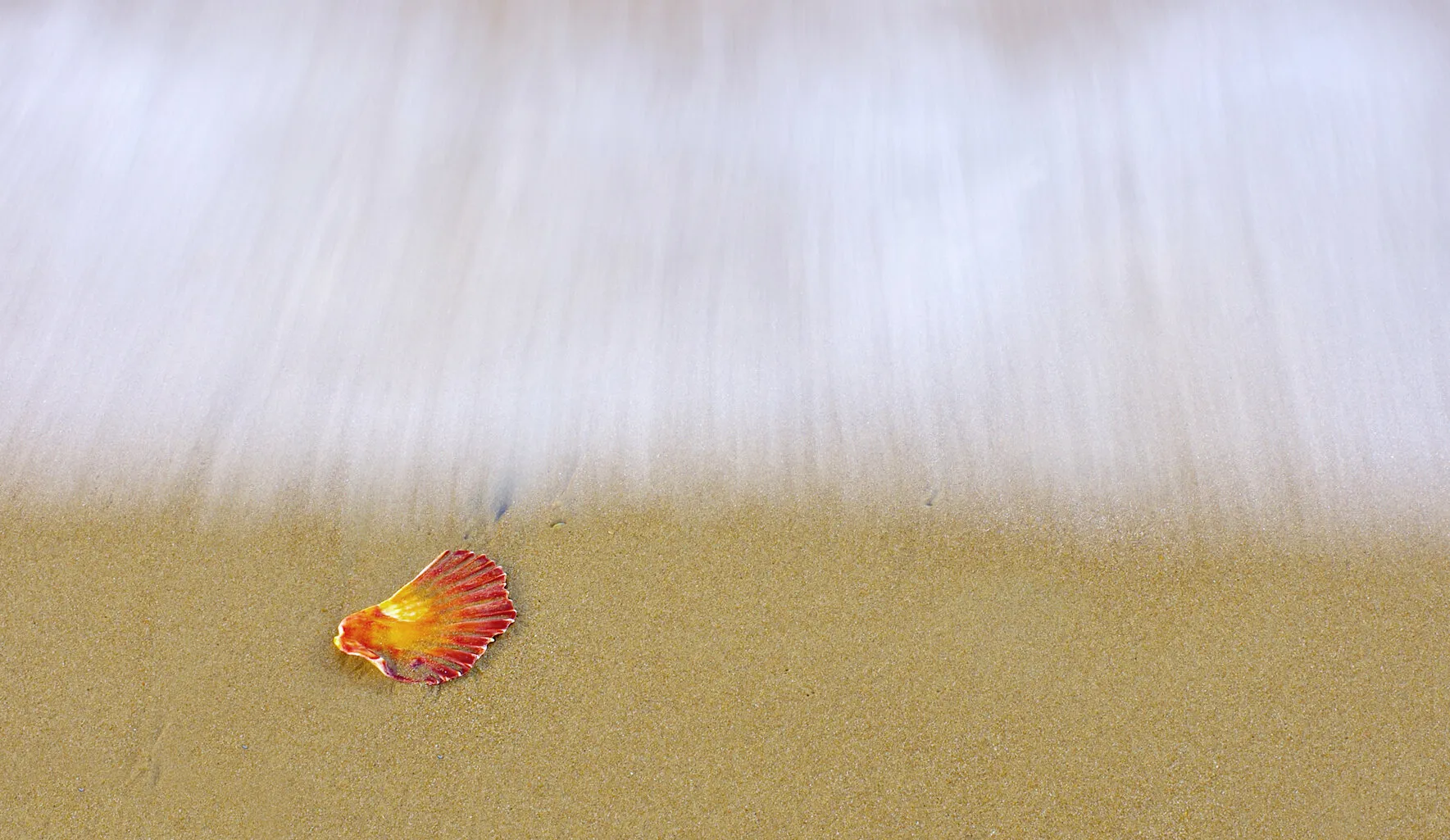 Surf's Edge