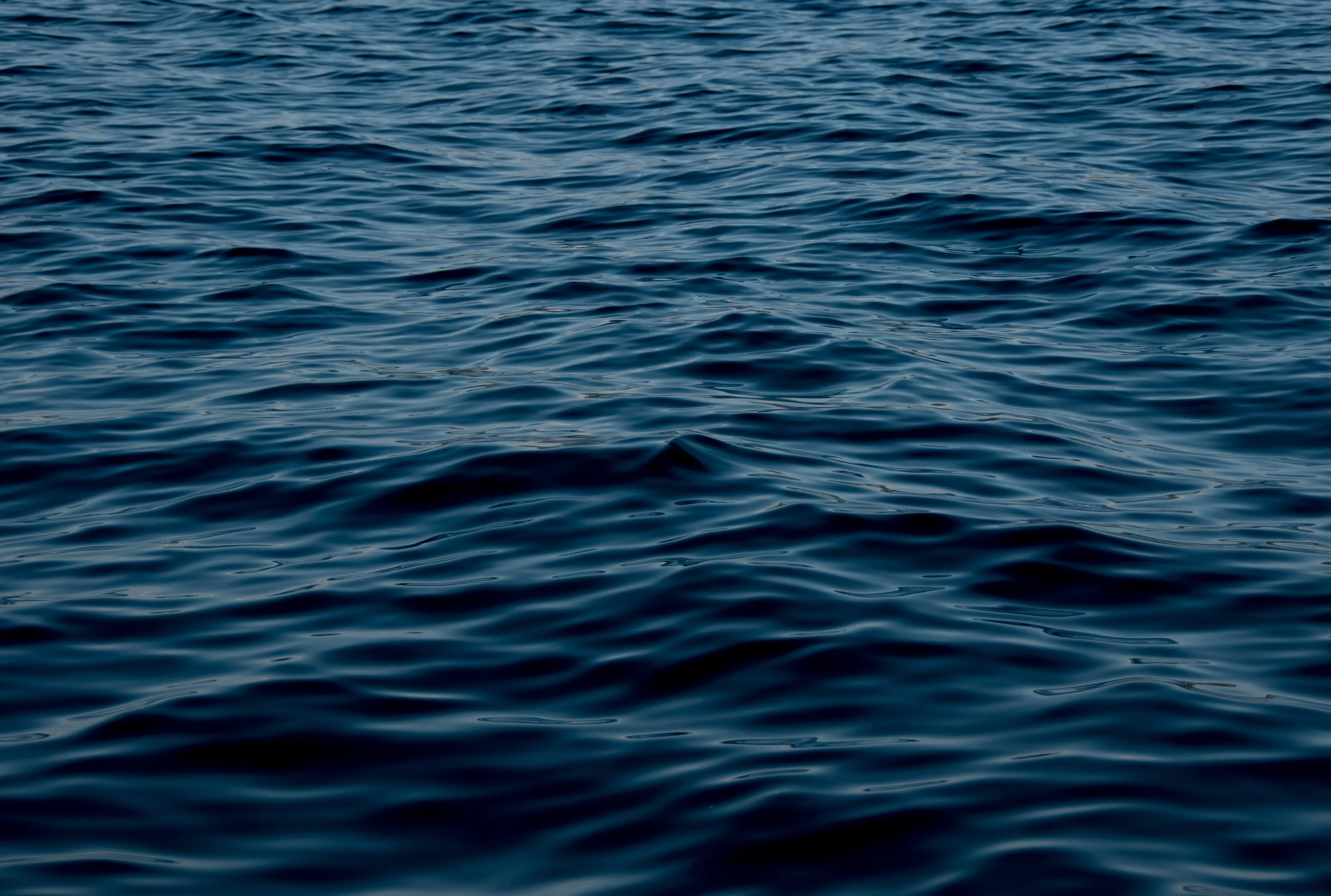 West Coast Waves