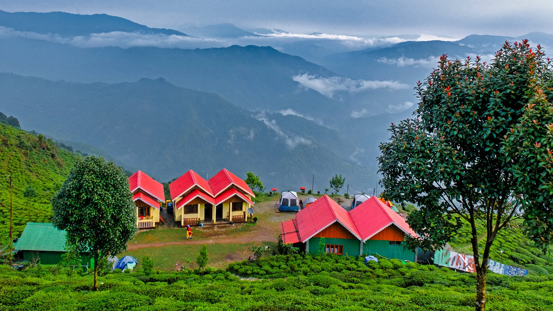 Ahaldhara