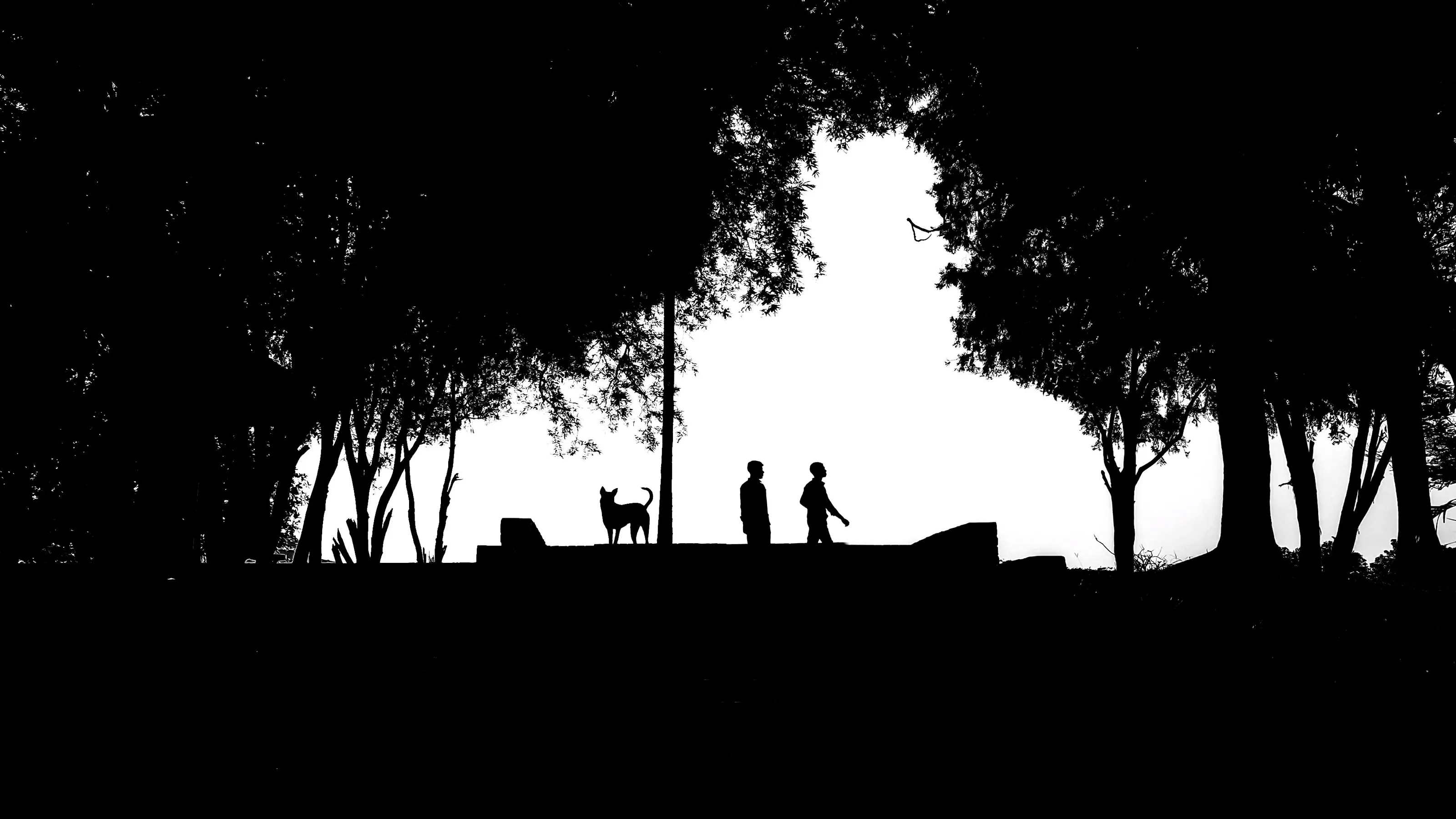 A Silhouette Morning