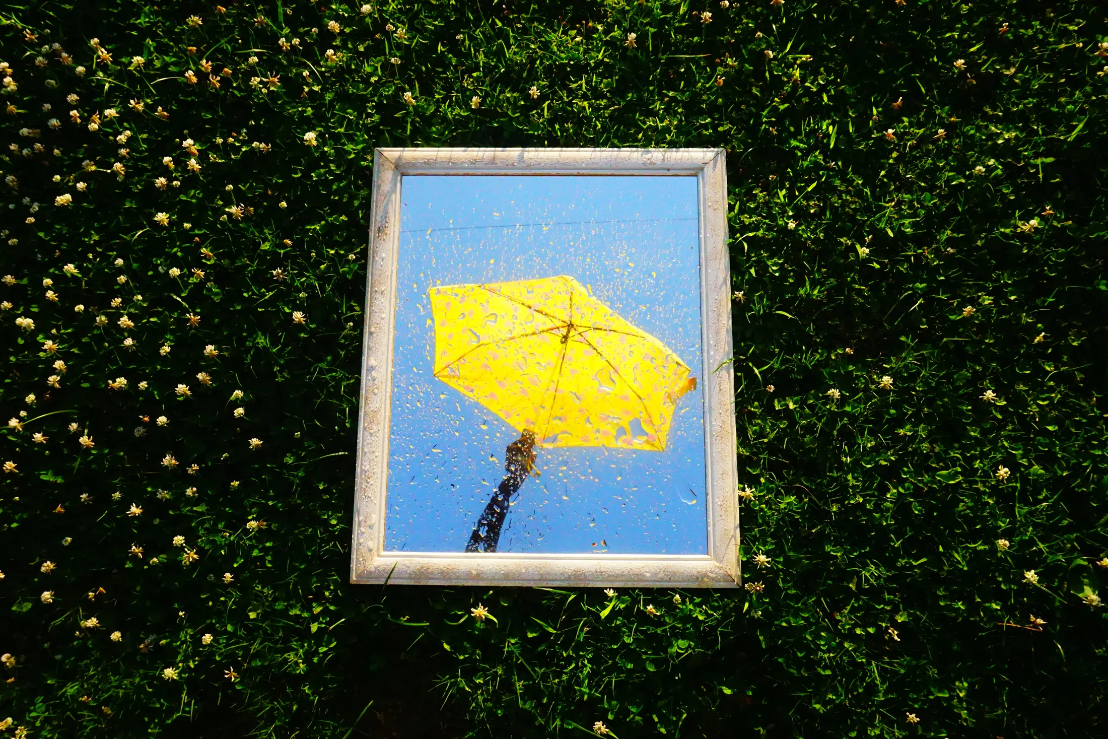 Untitled image