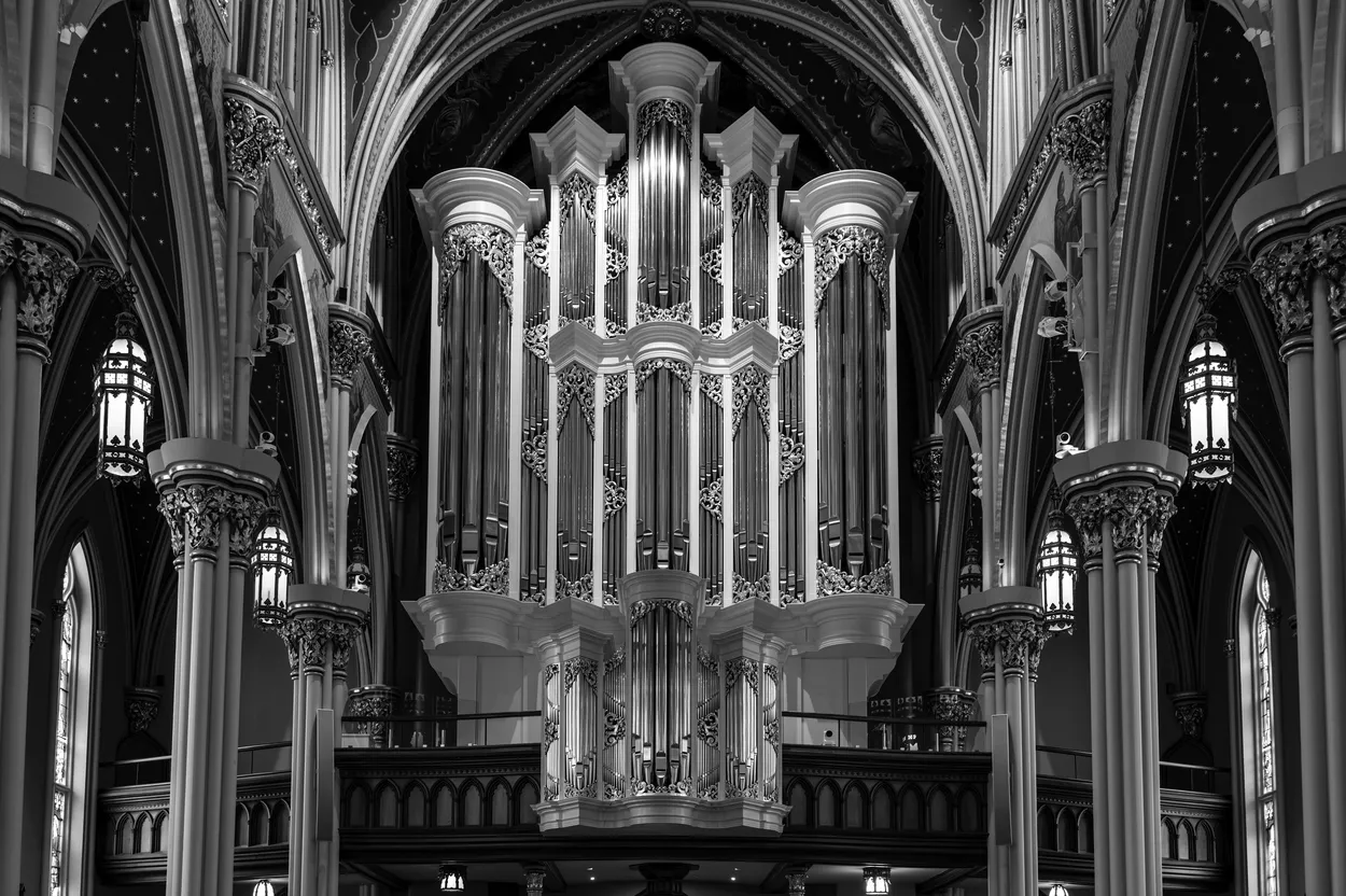 Entry 13156016