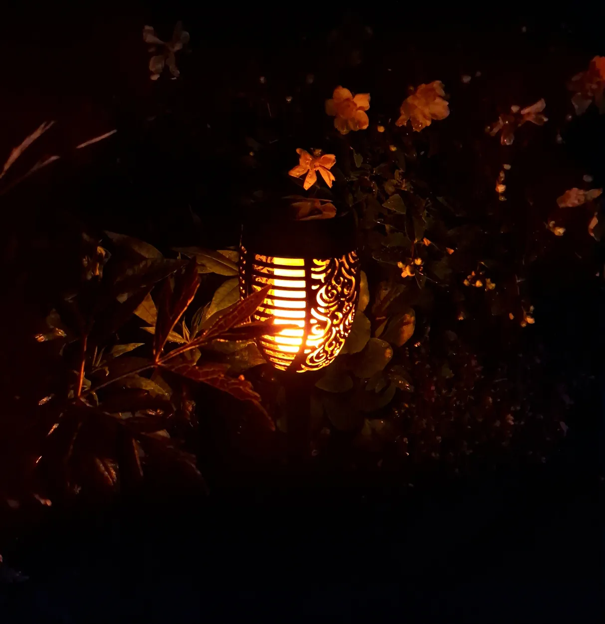 Entry 13168519