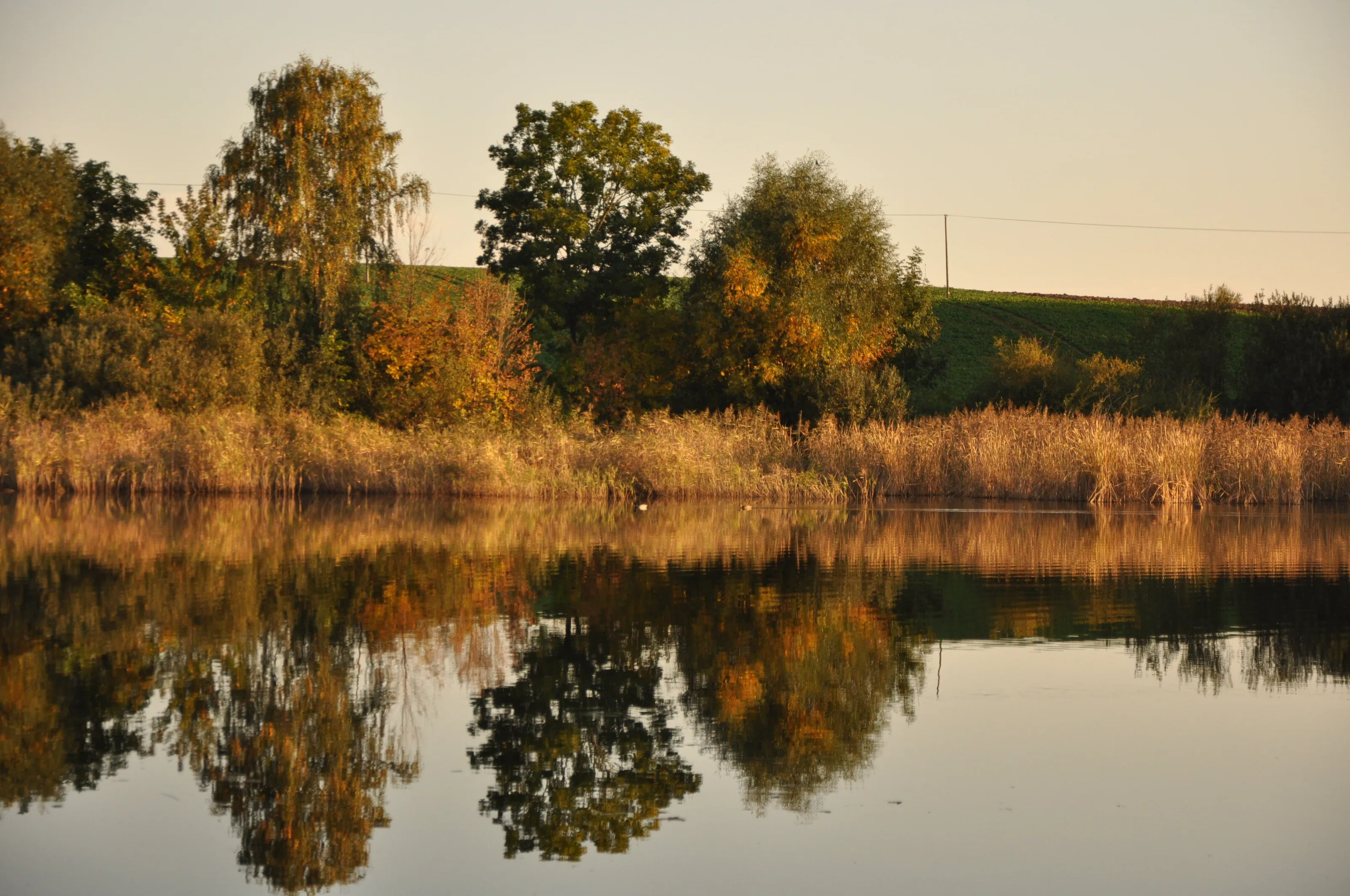 Refleksje