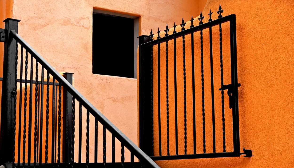 Entry 19566611
