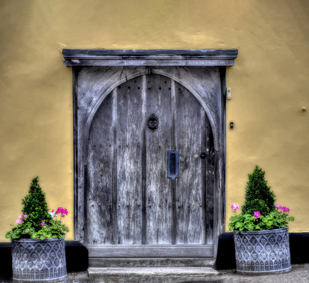 Entry 15561195