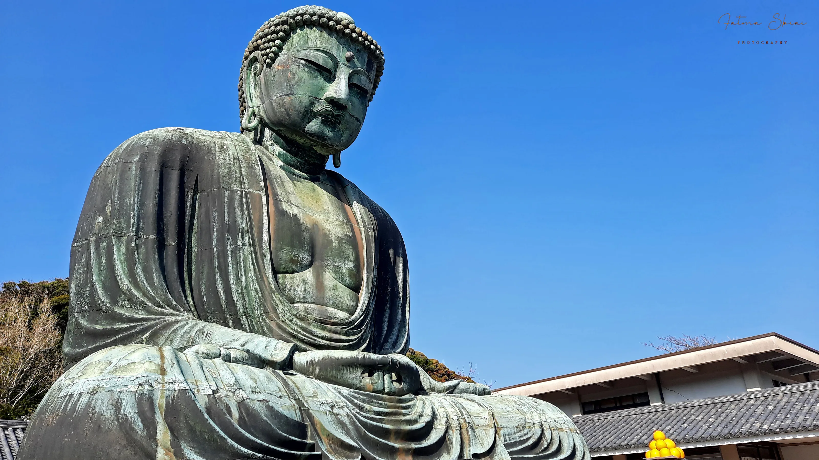 relaxing Buddha