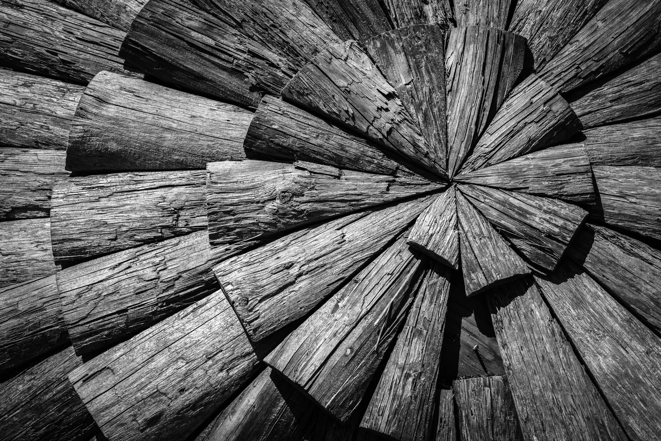 Untitled image