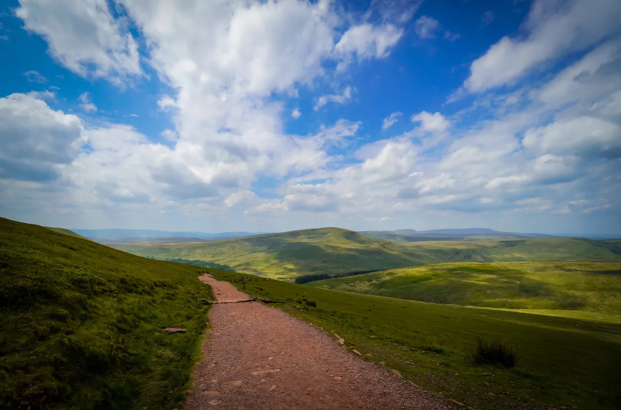 Entry 13194399