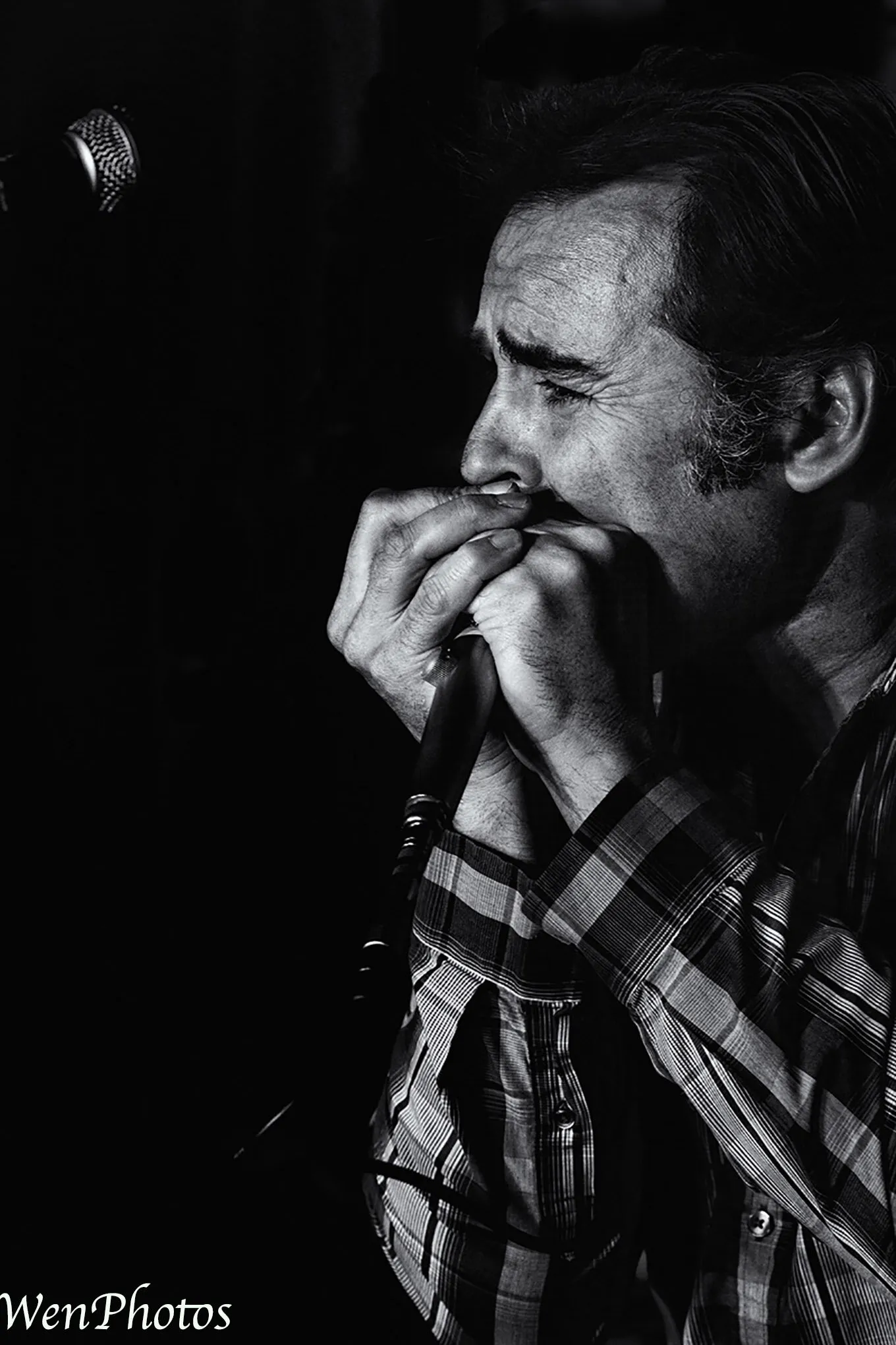 Harmonica man