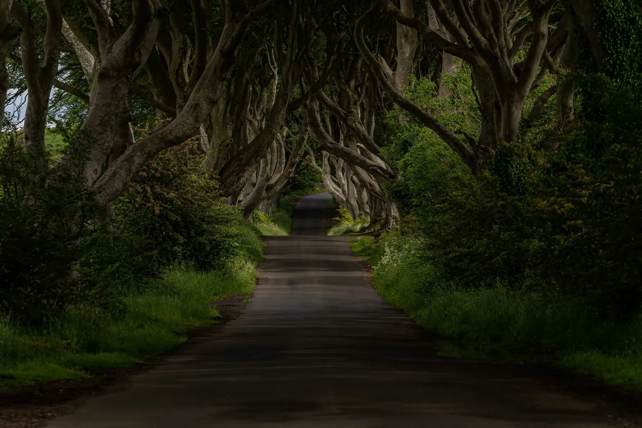 Entry 18579425
