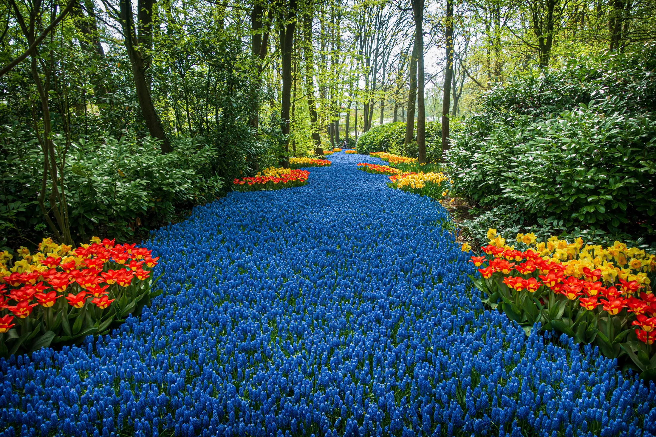 Keukenhof Gardens