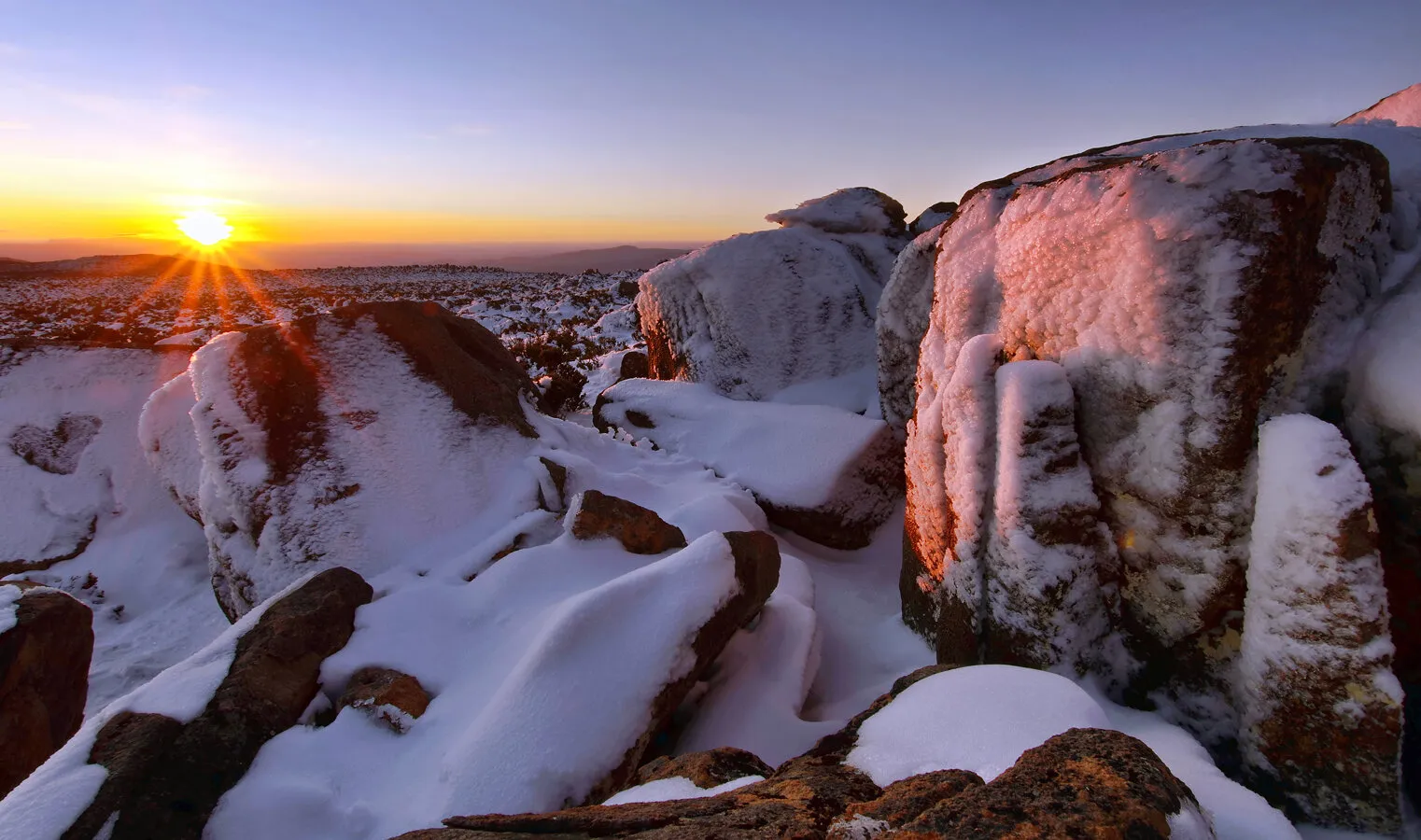 Entry 16806624