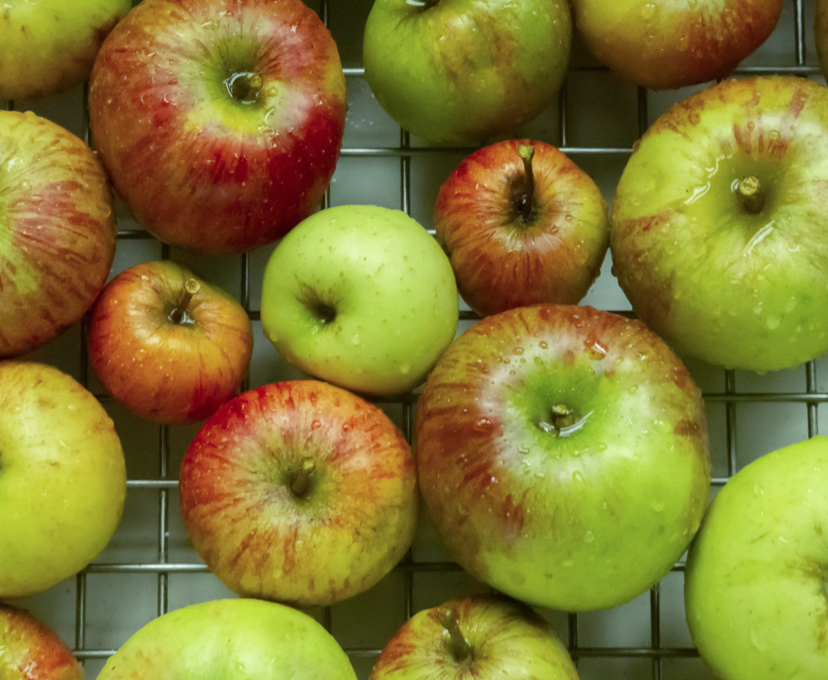 An Apple a Day