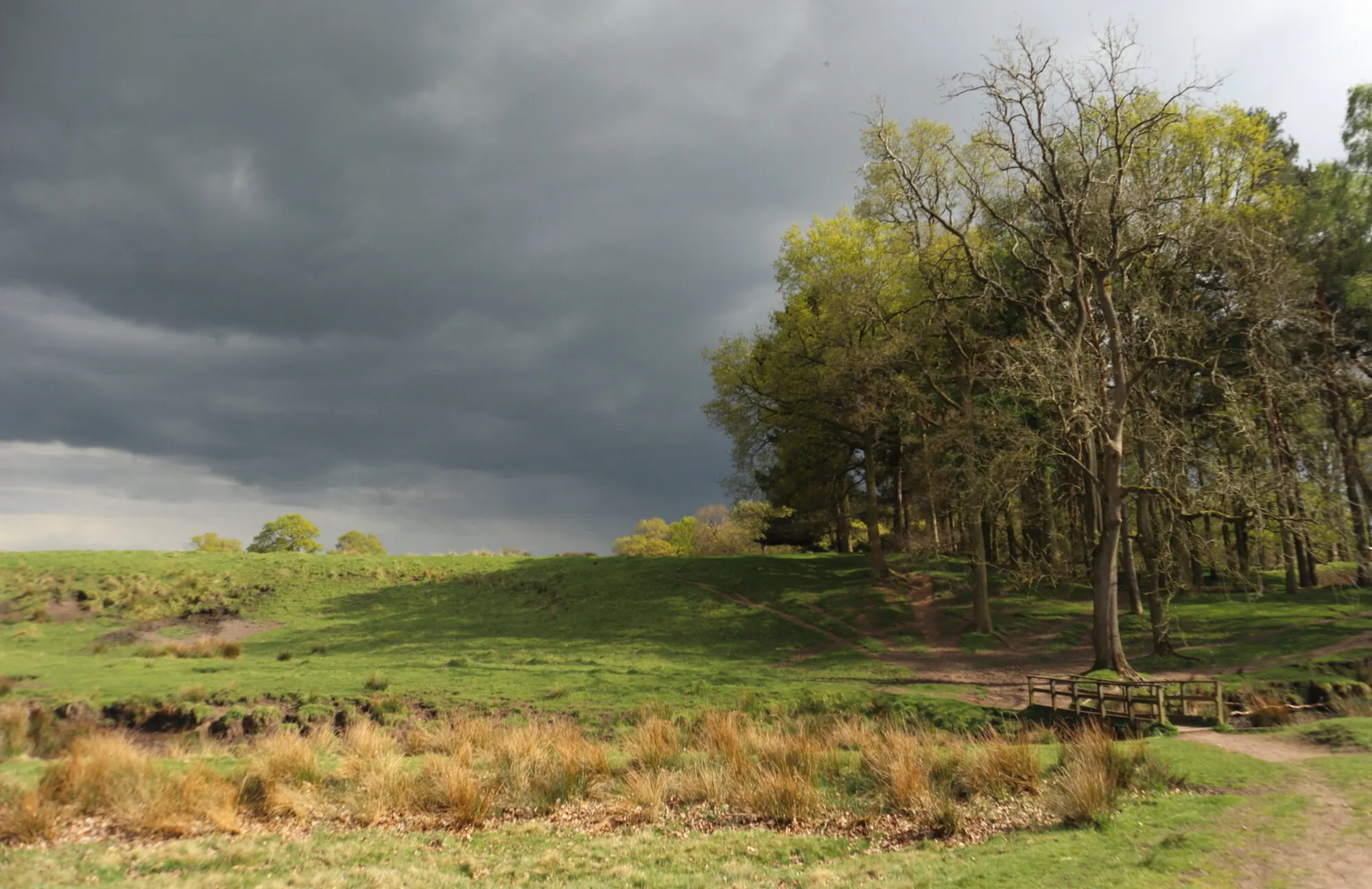 constable at tatton
