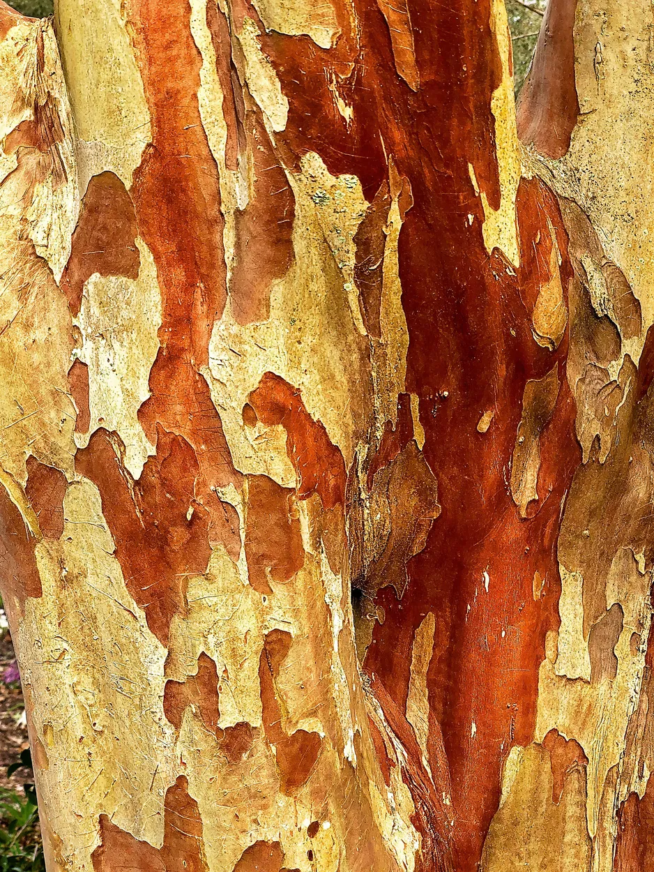 Entry 23702344