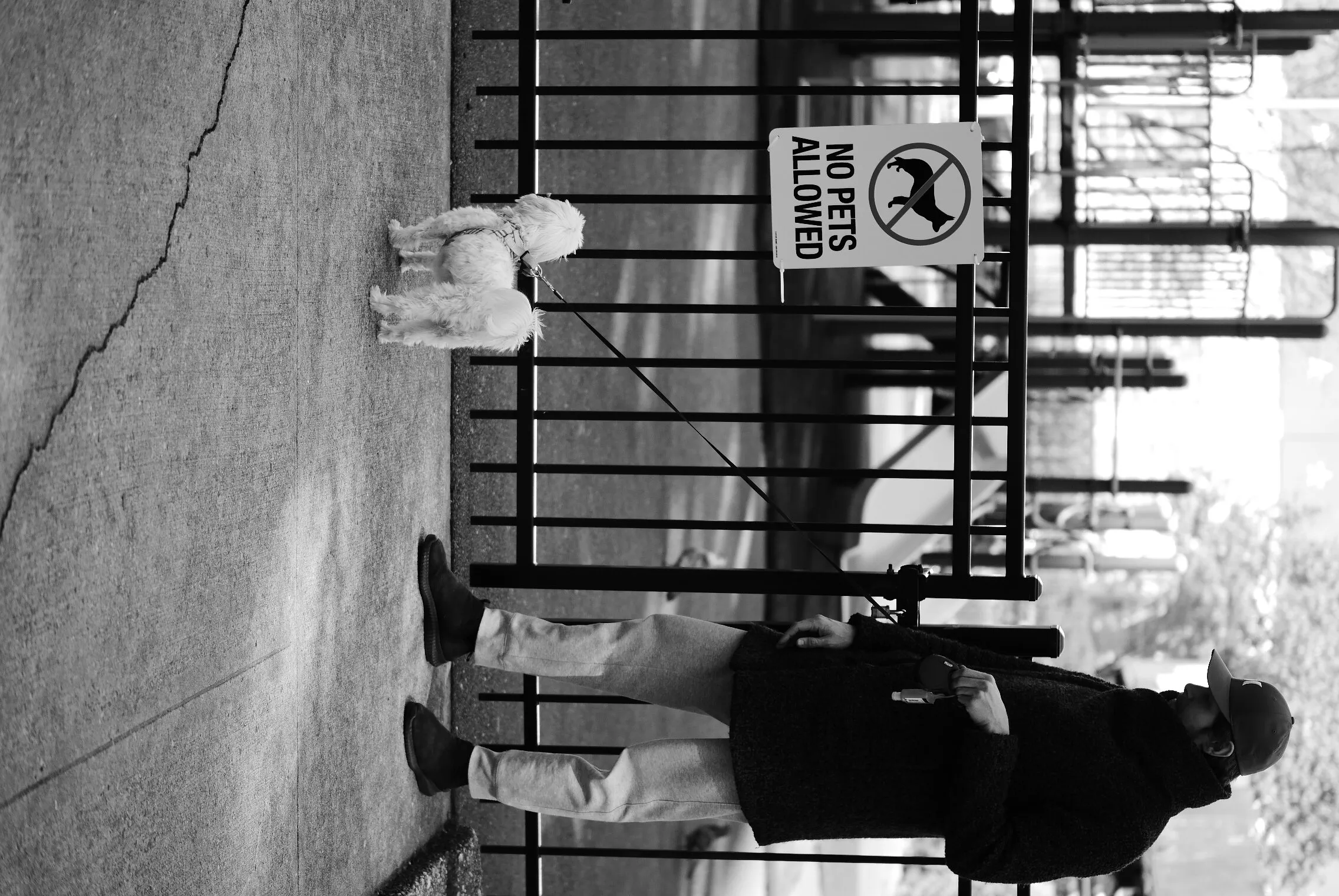 No Pets Allowed