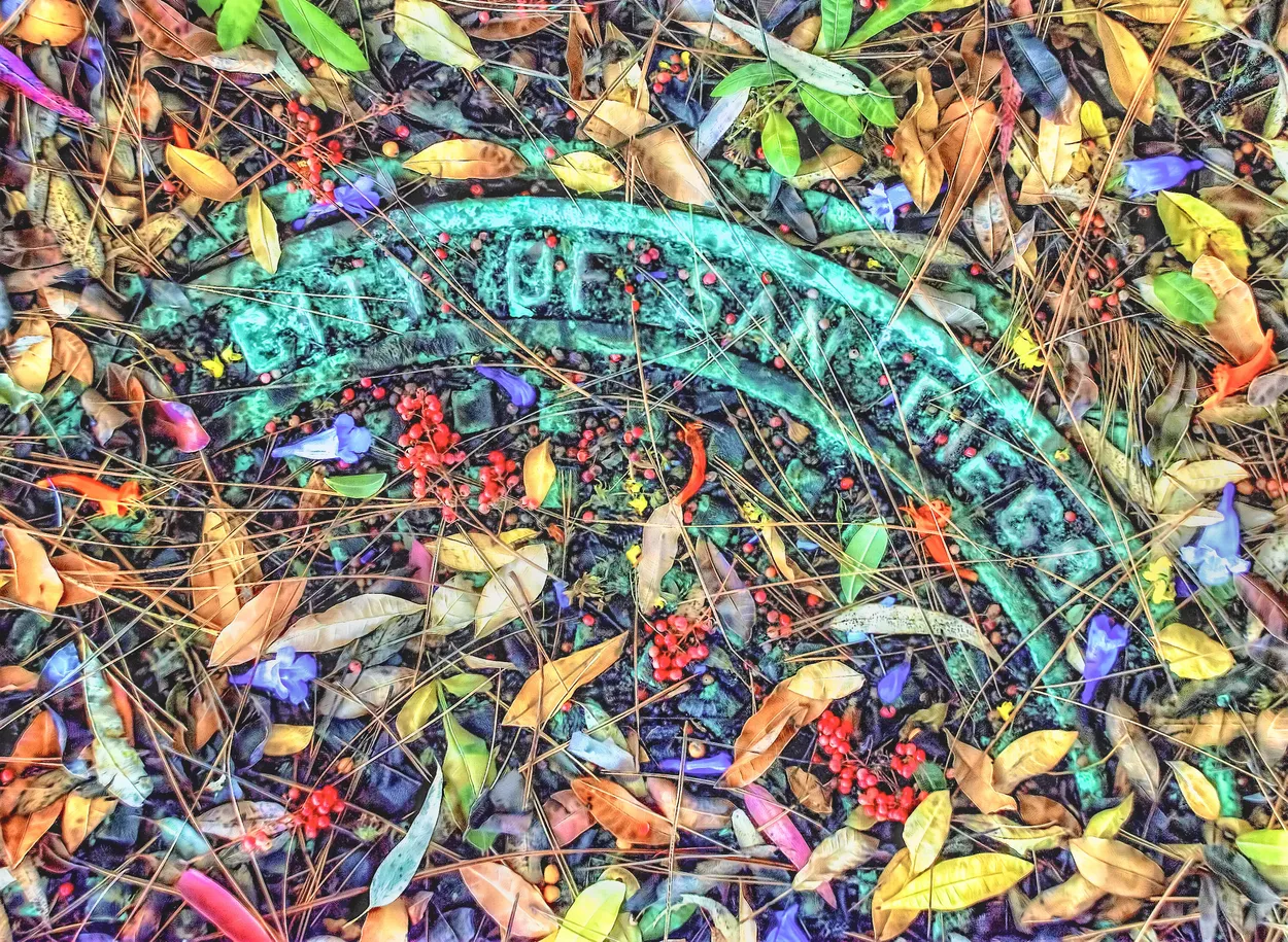 Everything is Beautiful