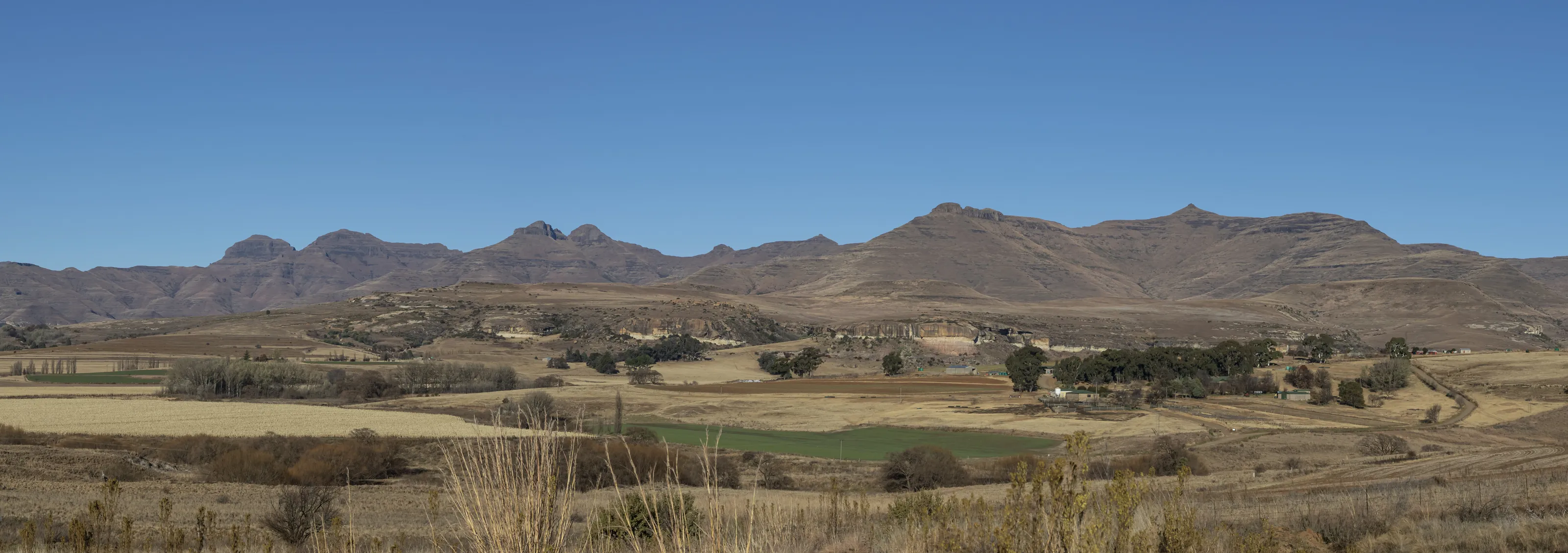 Clear winter's day