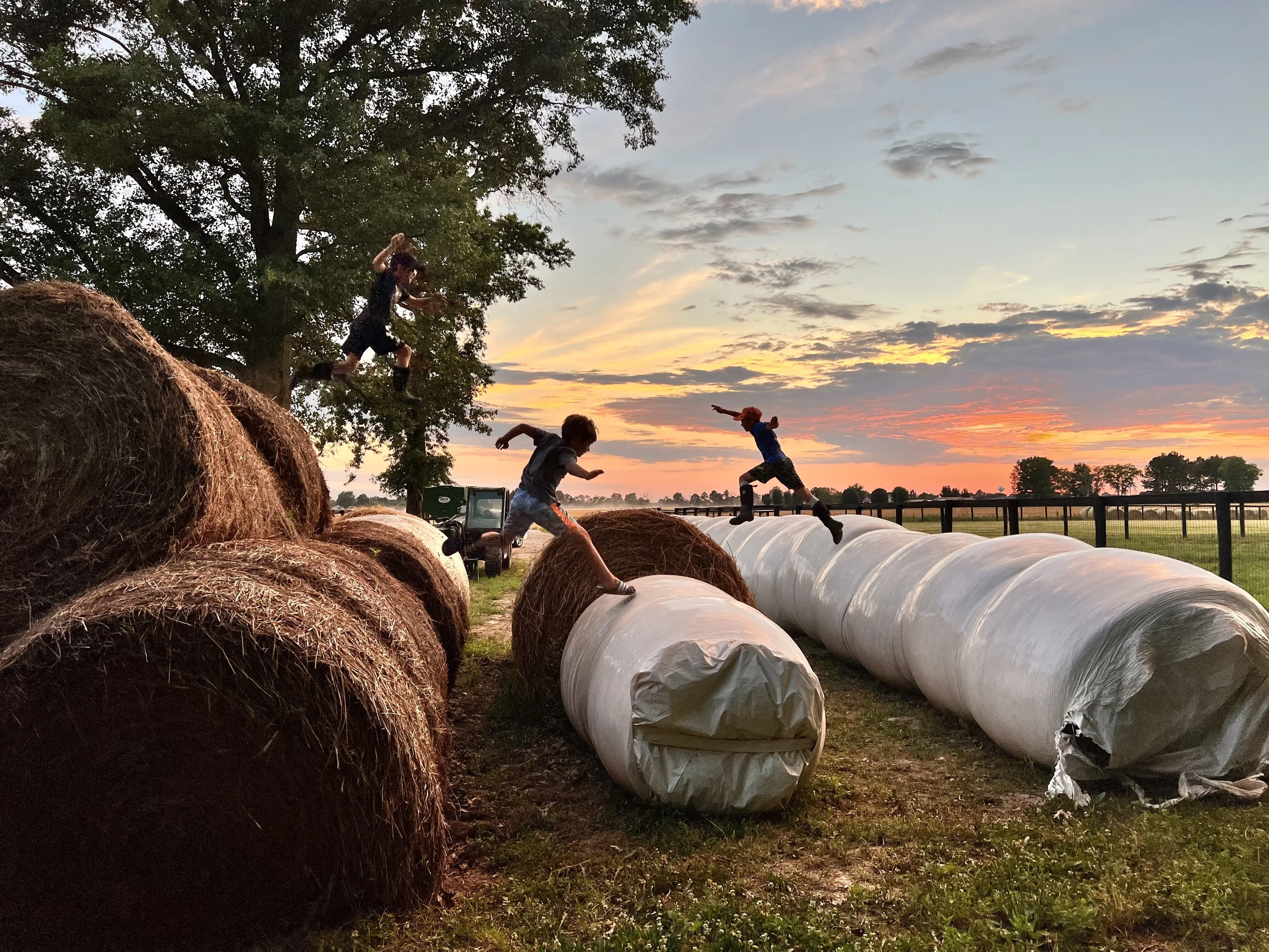 Southern Summer Nights