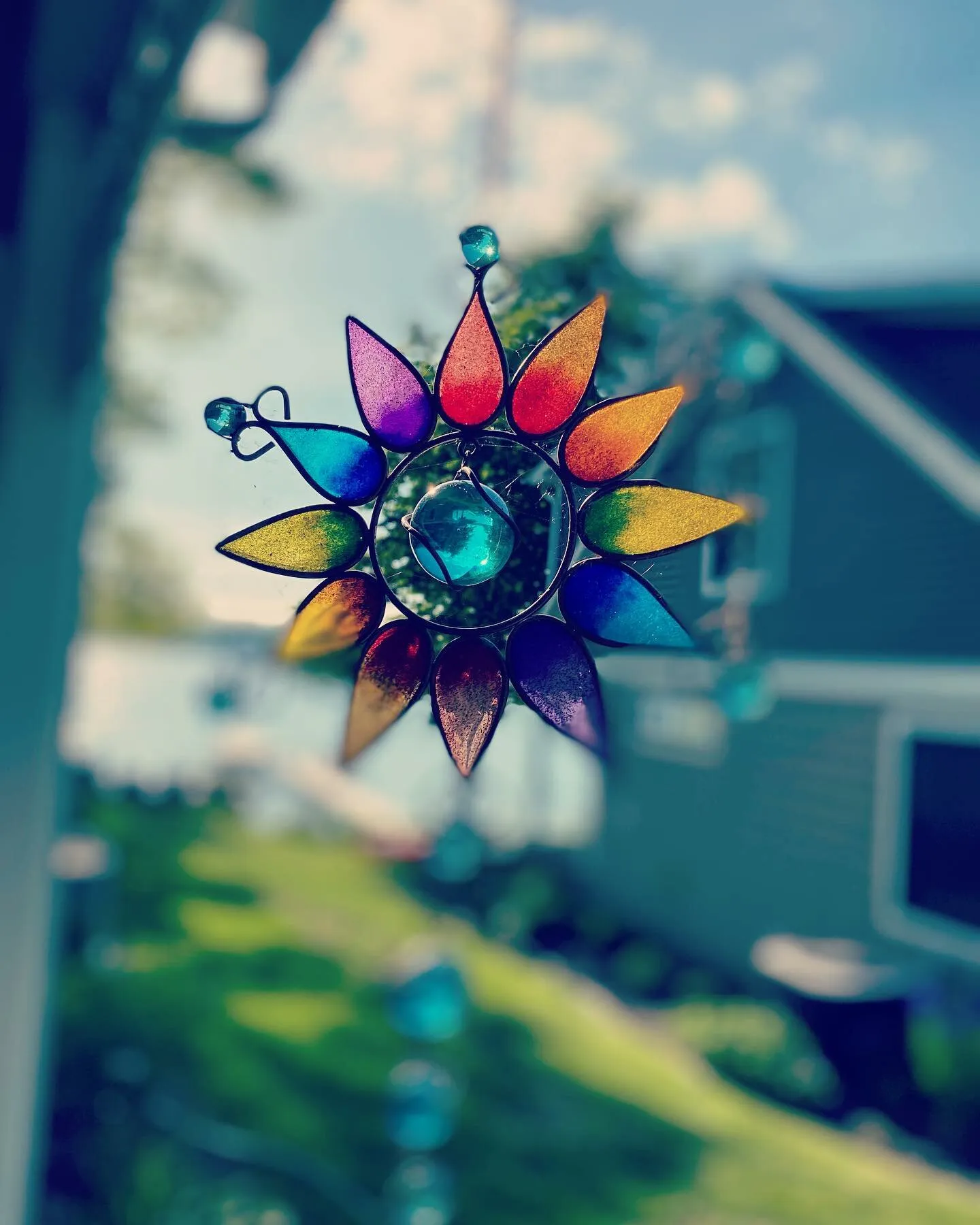 What a colorful life